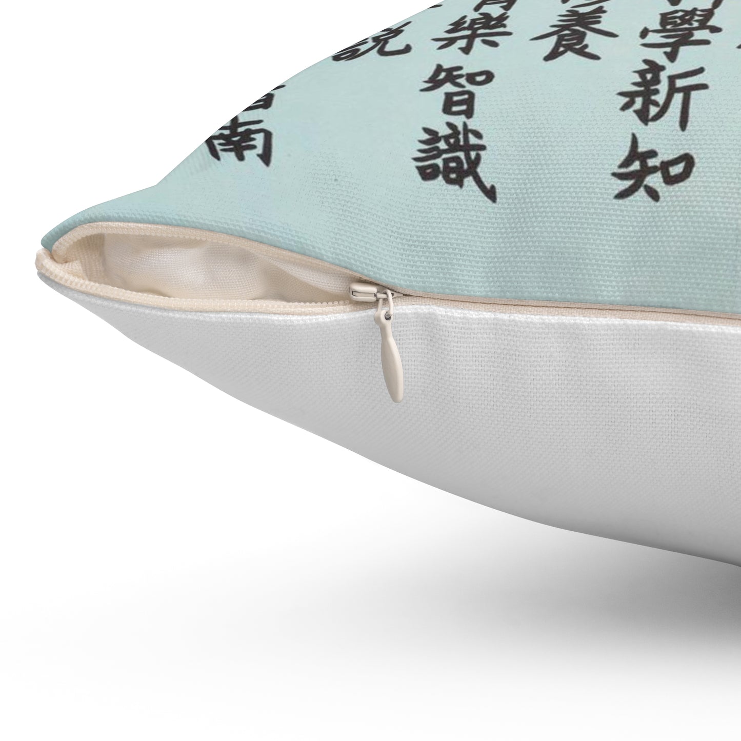 Promotion Poster "High School Student" Decorative Accent Square Pillow