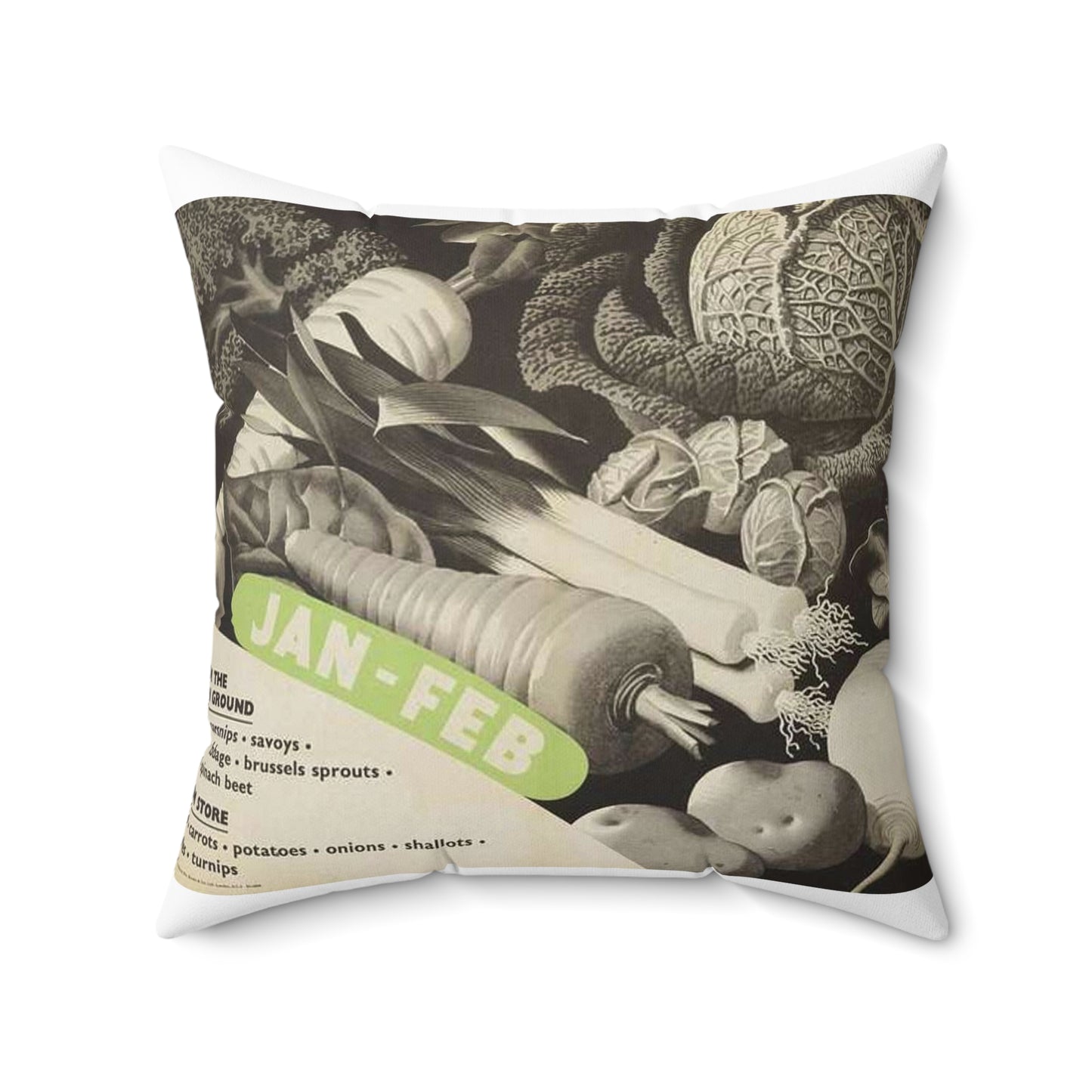 (vegetables to Grow) Jan-feb Art.IWMPST20656 Decorative Accent Square Pillow