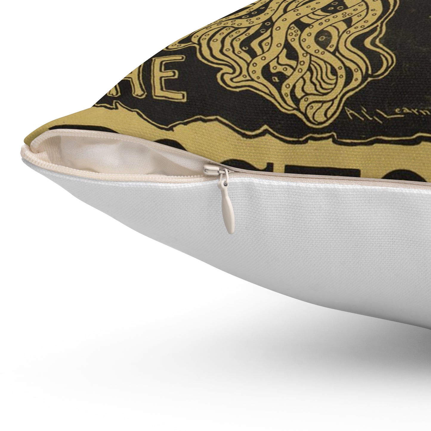 The coming woman. The bostonian. Decorative Accent Square Pillow