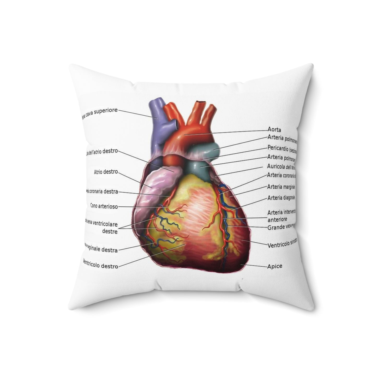 Anatomia del cuore Decorative Accent Square Pillow