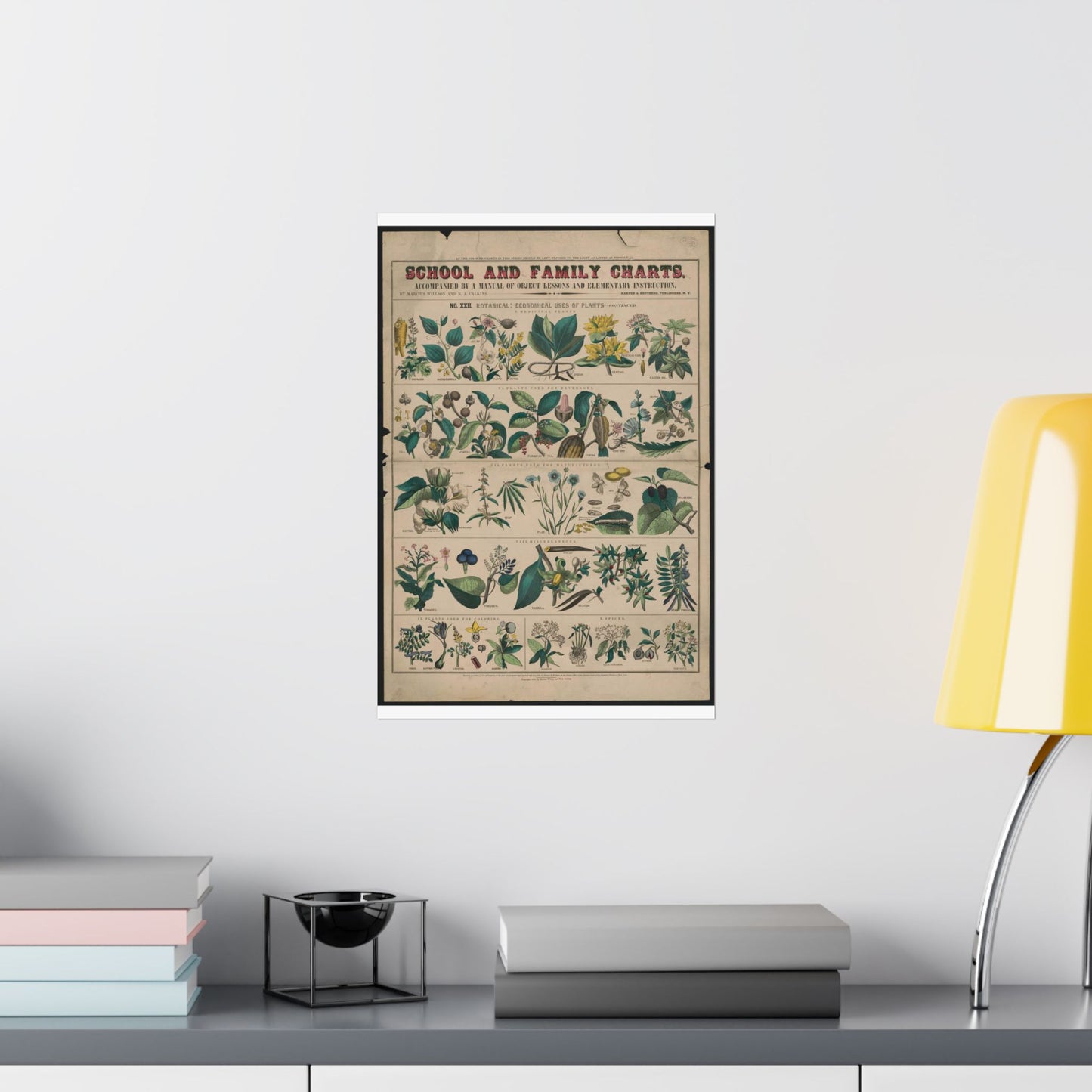 School and family charts, accompanied by a manual of object lessons and elementary instruction, by Marcius Willson and N.A. Calkins. No. XXII. Botanical: economical uses of plants-continued High Quality Matte Wall Art Poster for Home, Office, Classroom