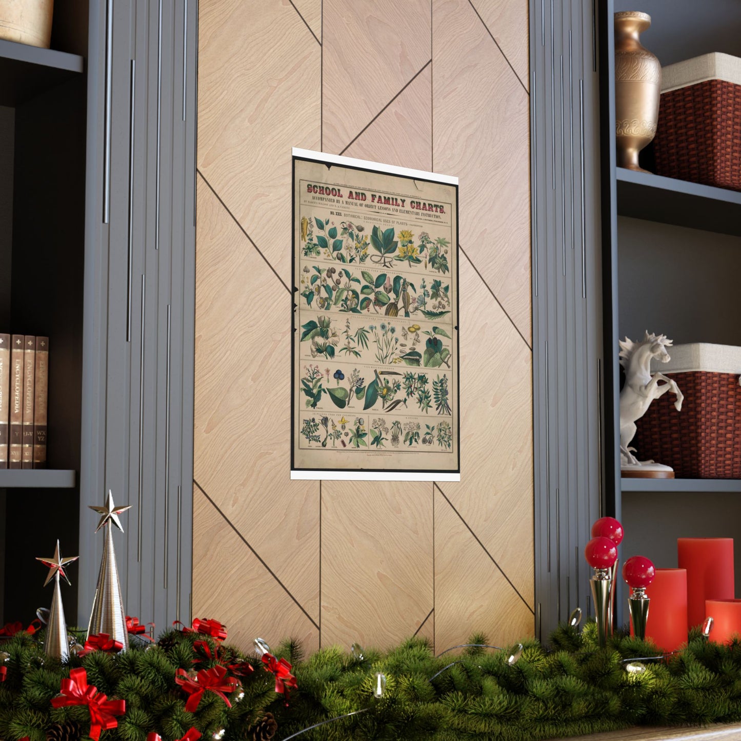 School and family charts, accompanied by a manual of object lessons and elementary instruction, by Marcius Willson and N.A. Calkins. No. XXII. Botanical: economical uses of plants-continued High Quality Matte Wall Art Poster for Home, Office, Classroom