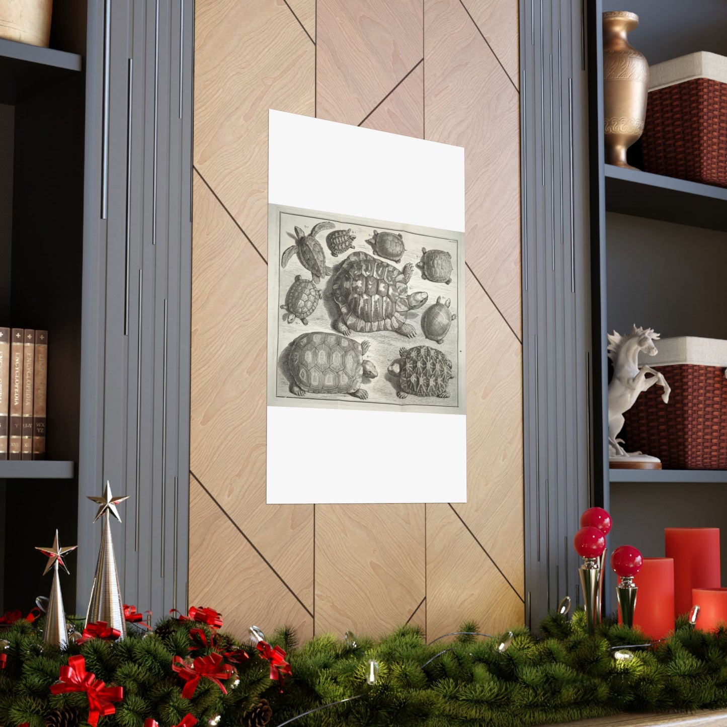 Albertus Seba t - Public domain portrait drawing High Quality Matte Wall Art Poster for Home, Office, Classroom