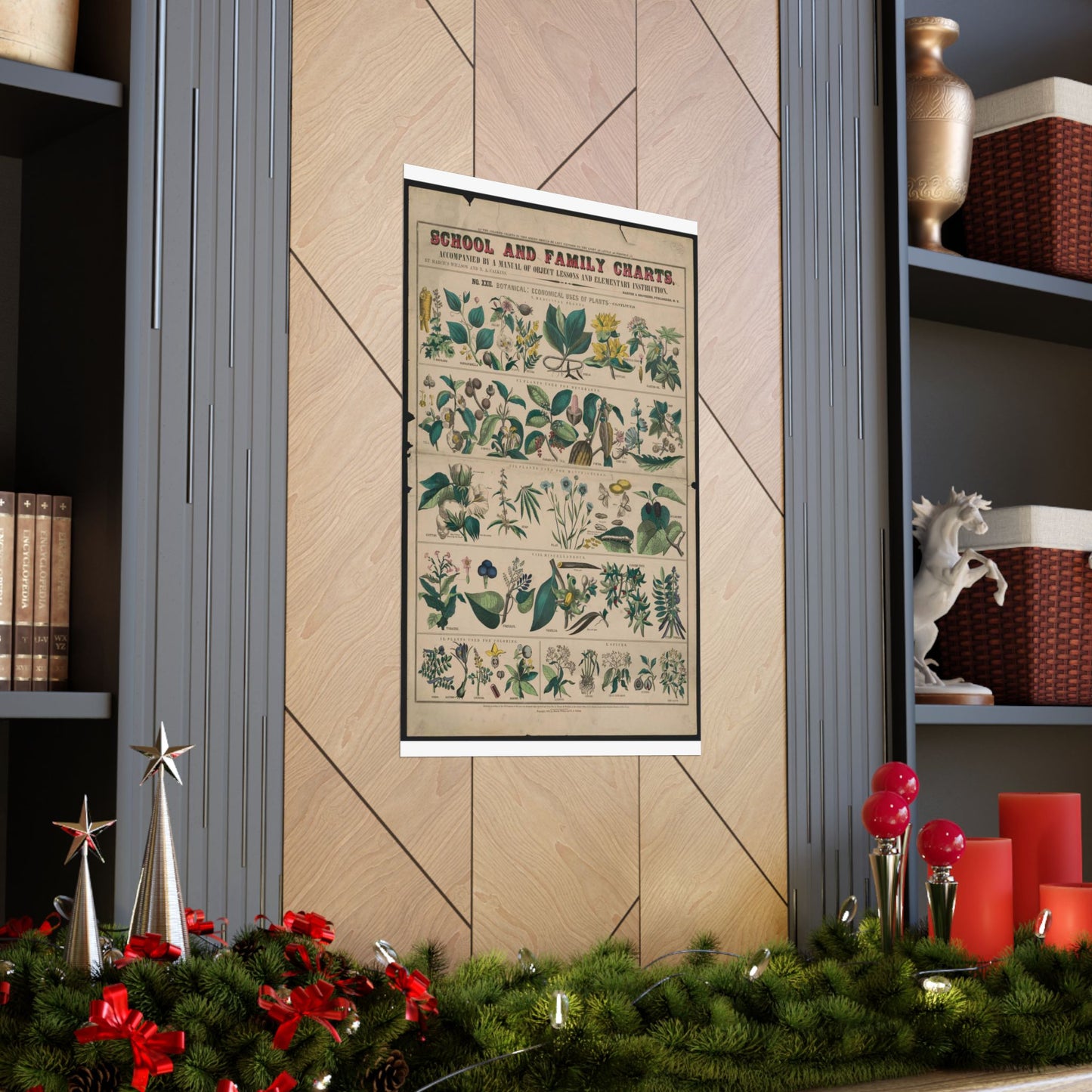 School and family charts, accompanied by a manual of object lessons and elementary instruction, by Marcius Willson and N.A. Calkins. No. XXII. Botanical: economical uses of plants-continued High Quality Matte Wall Art Poster for Home, Office, Classroom