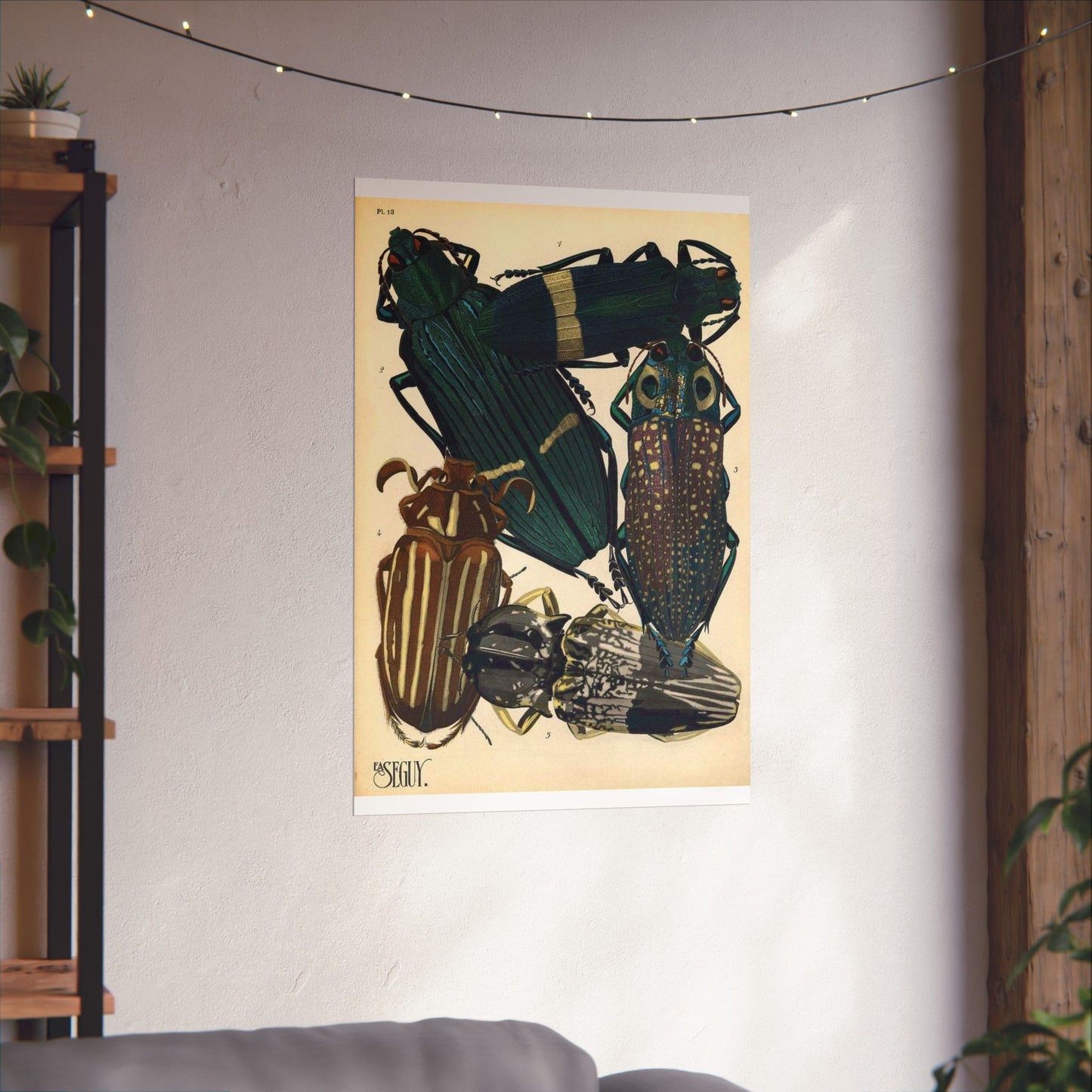 Insectes - EA Séguy - 1929 - page 14 High Quality Matte Wall Art Poster for Home, Office, Classroom
