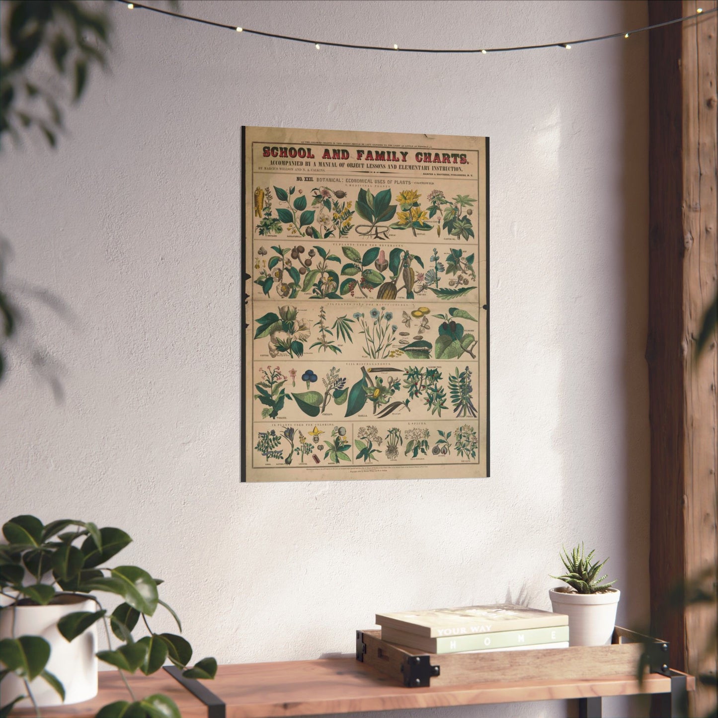 School and family charts, accompanied by a manual of object lessons and elementary instruction, by Marcius Willson and N.A. Calkins. No. XXII. Botanical: economical uses of plants-continued High Quality Matte Wall Art Poster for Home, Office, Classroom