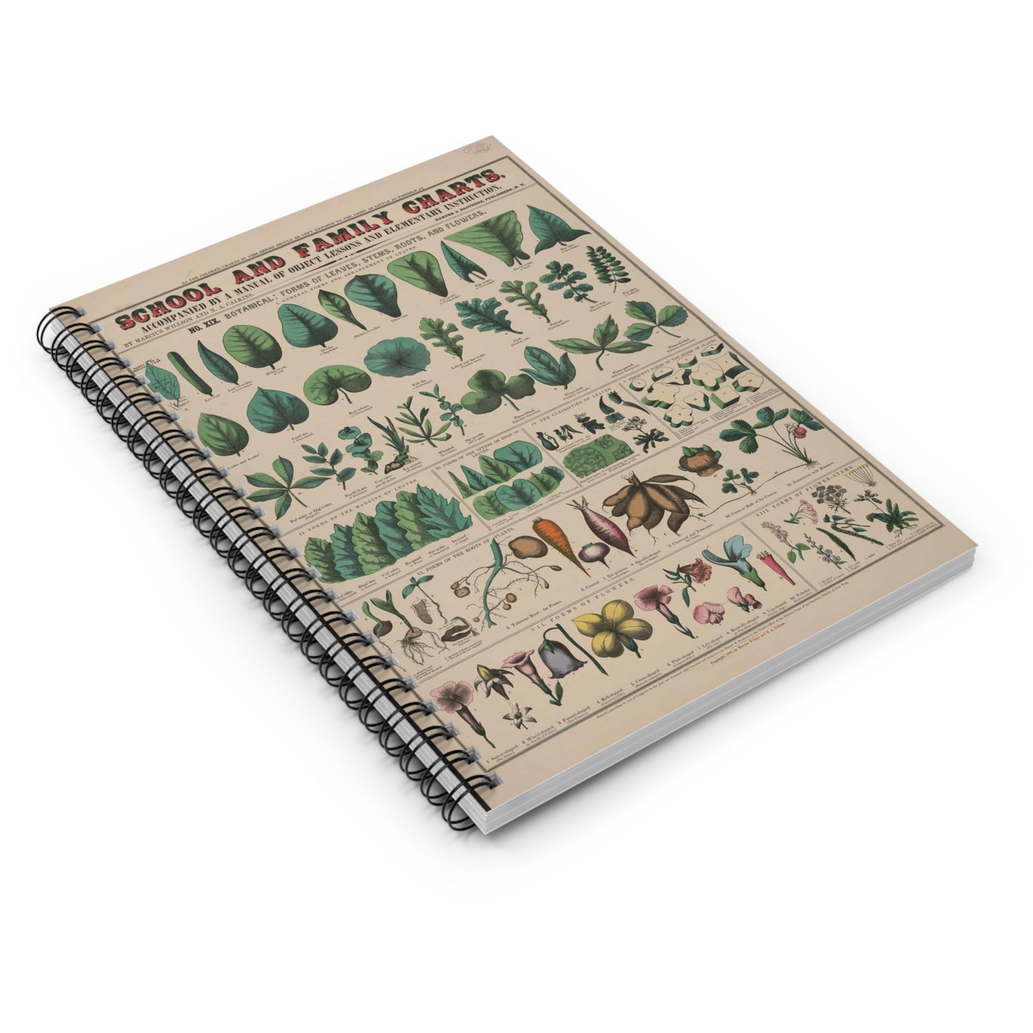 School and family charts, accompanied by a manual of object lessons and elementary instruction, by Marcius Willson and N.A. Calkins. No. XIX. Botanical: forms of leaves, stems, roots, and flowers Spiral Bound Ruled Notebook with Printed Cover
