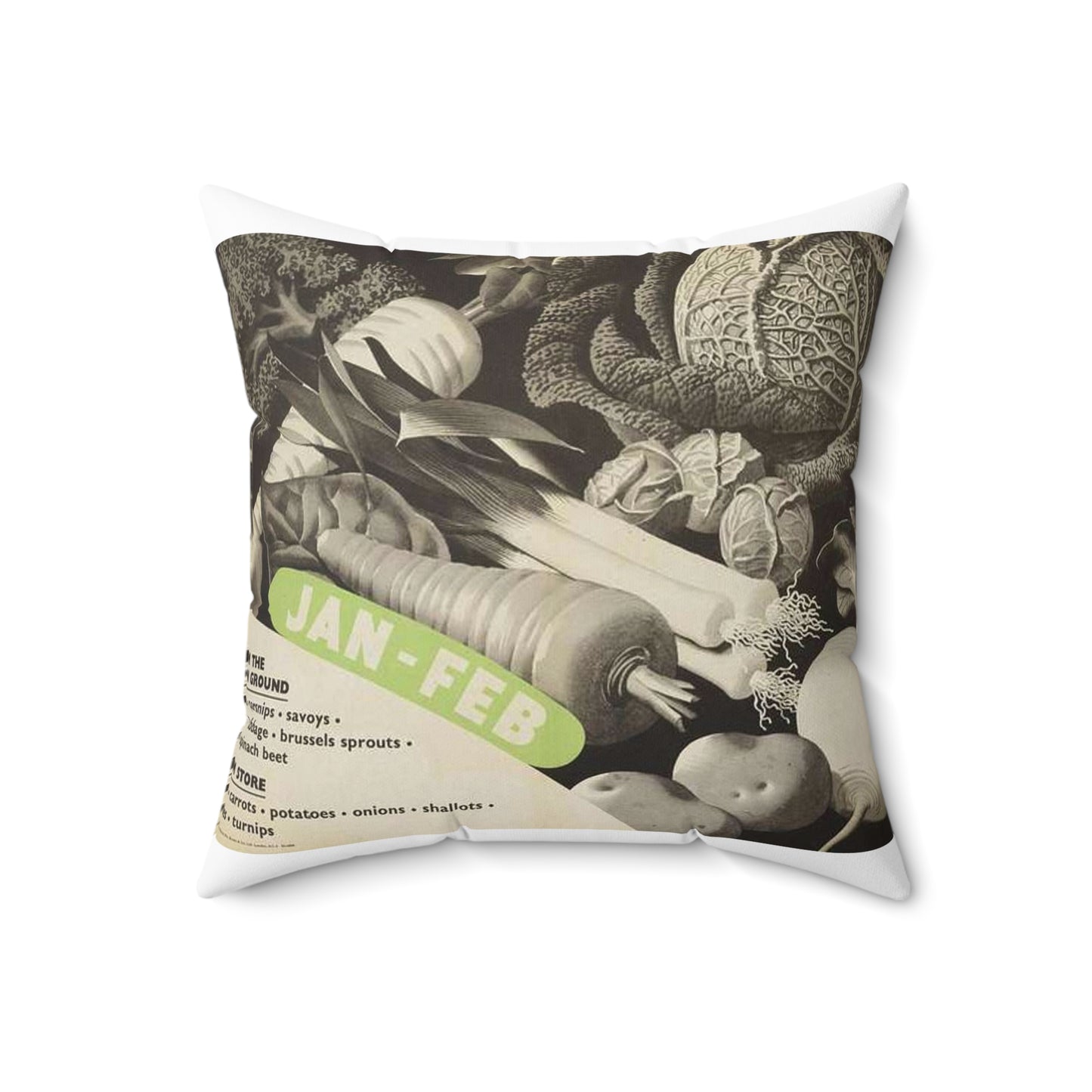 (vegetables to Grow) Jan-feb Art.IWMPST20656 Decorative Accent Square Pillow