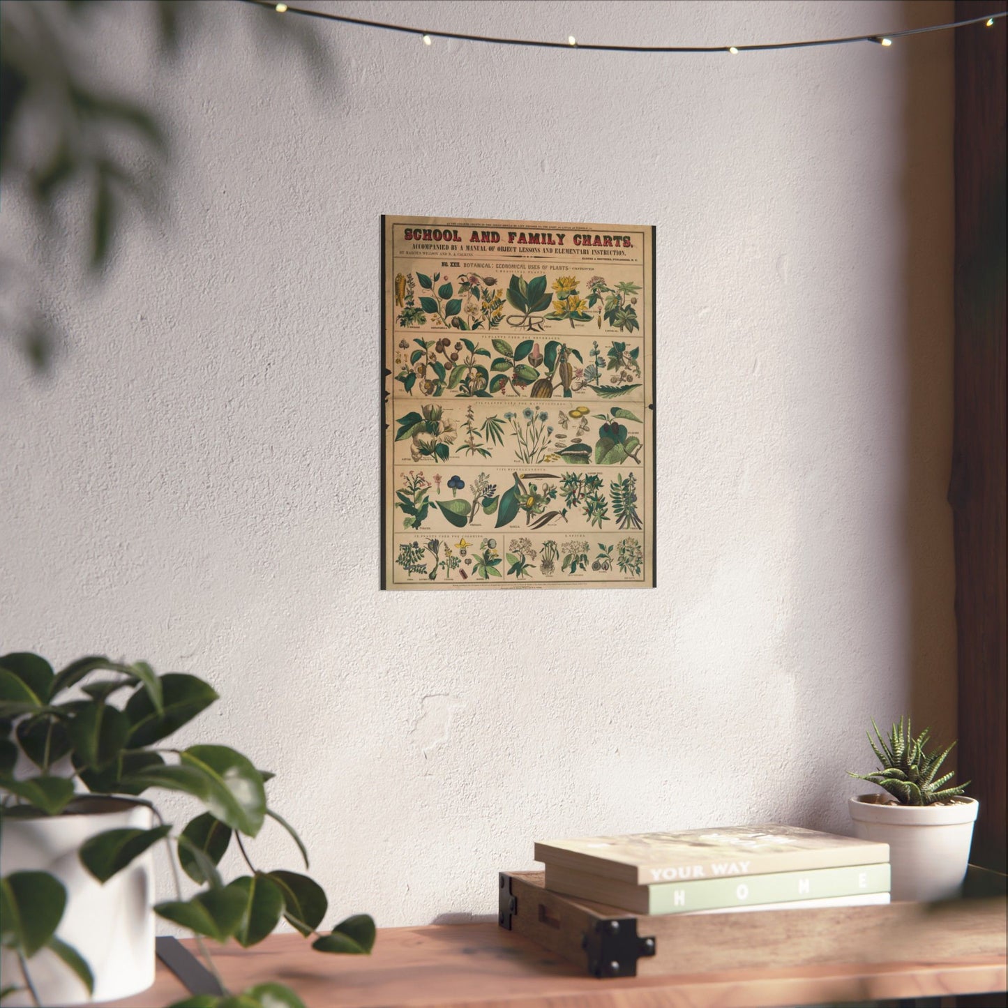 School and family charts, accompanied by a manual of object lessons and elementary instruction, by Marcius Willson and N.A. Calkins. No. XXII. Botanical: economical uses of plants-continued High Quality Matte Wall Art Poster for Home, Office, Classroom