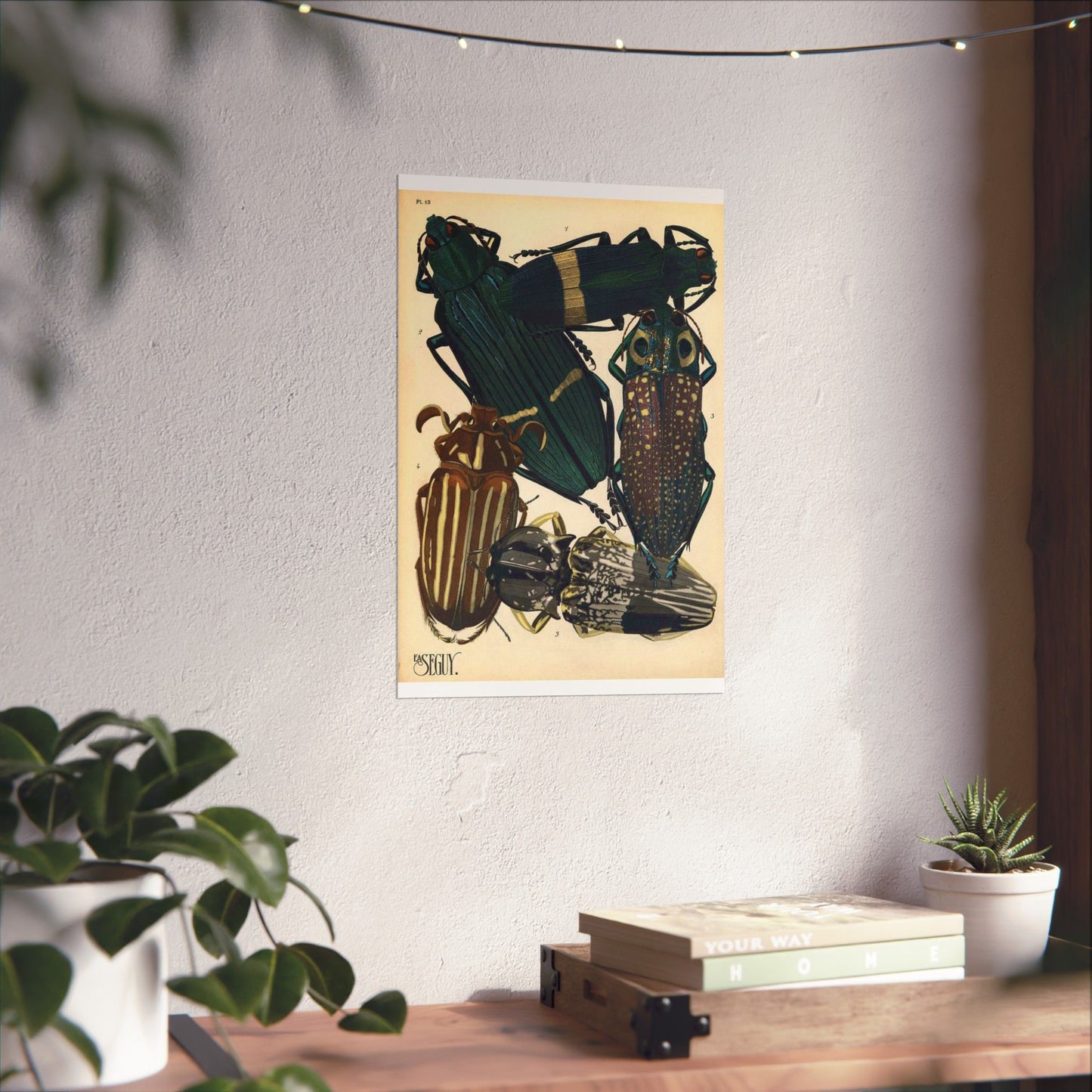 Insectes - EA Séguy - 1929 - page 14 High Quality Matte Wall Art Poster for Home, Office, Classroom