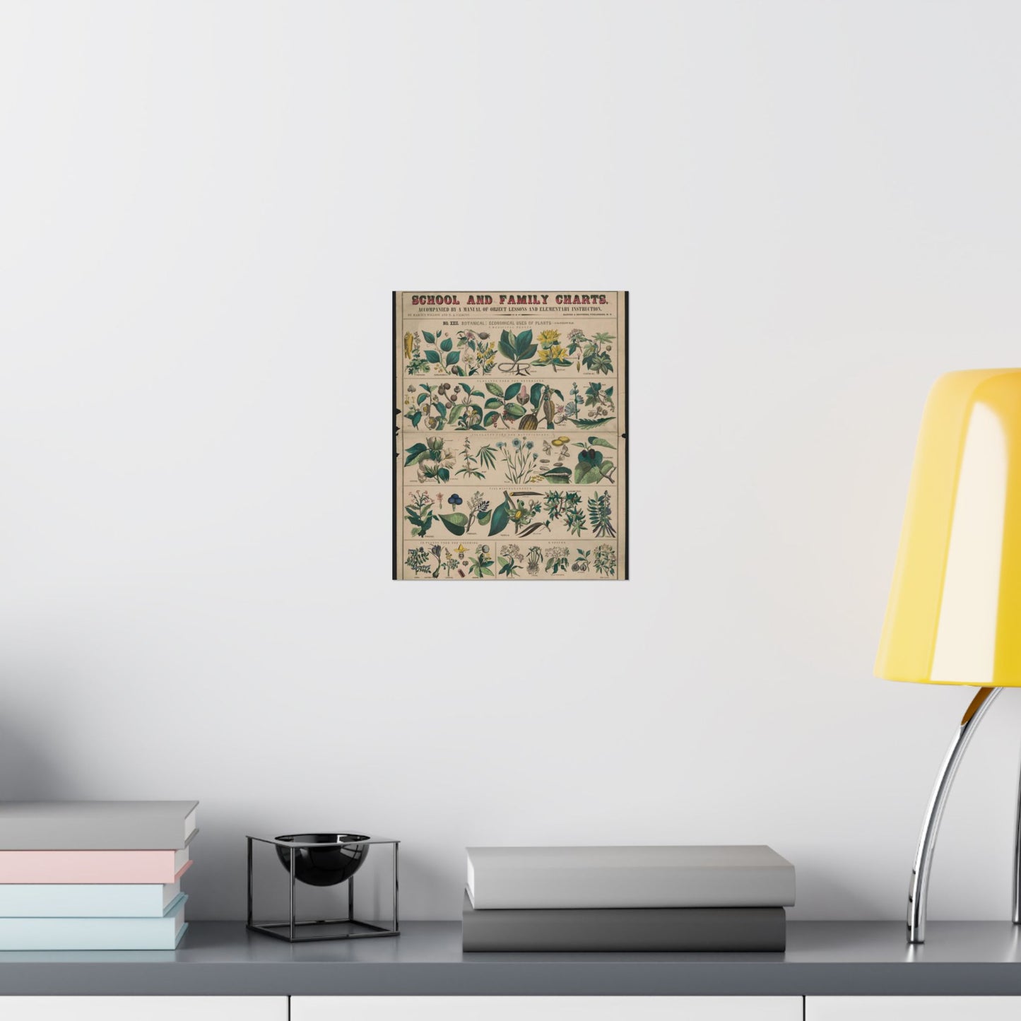 School and family charts, accompanied by a manual of object lessons and elementary instruction, by Marcius Willson and N.A. Calkins. No. XXII. Botanical: economical uses of plants-continued High Quality Matte Wall Art Poster for Home, Office, Classroom