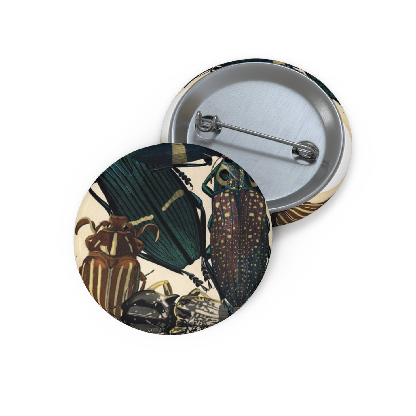 Insectes - EA Séguy - 1929 - page 14 Pin Buttons with Crisp Design