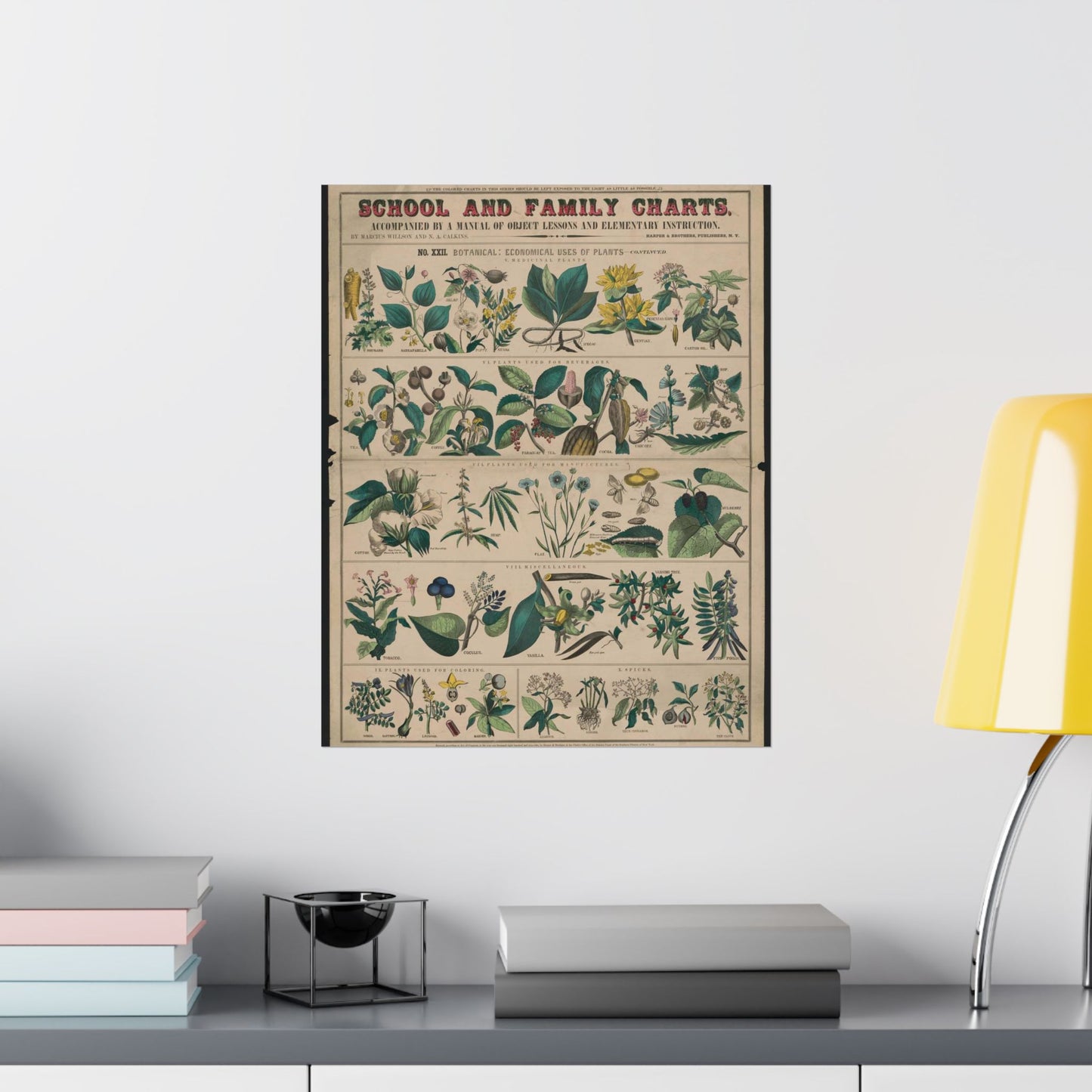 School and family charts, accompanied by a manual of object lessons and elementary instruction, by Marcius Willson and N.A. Calkins. No. XXII. Botanical: economical uses of plants-continued High Quality Matte Wall Art Poster for Home, Office, Classroom