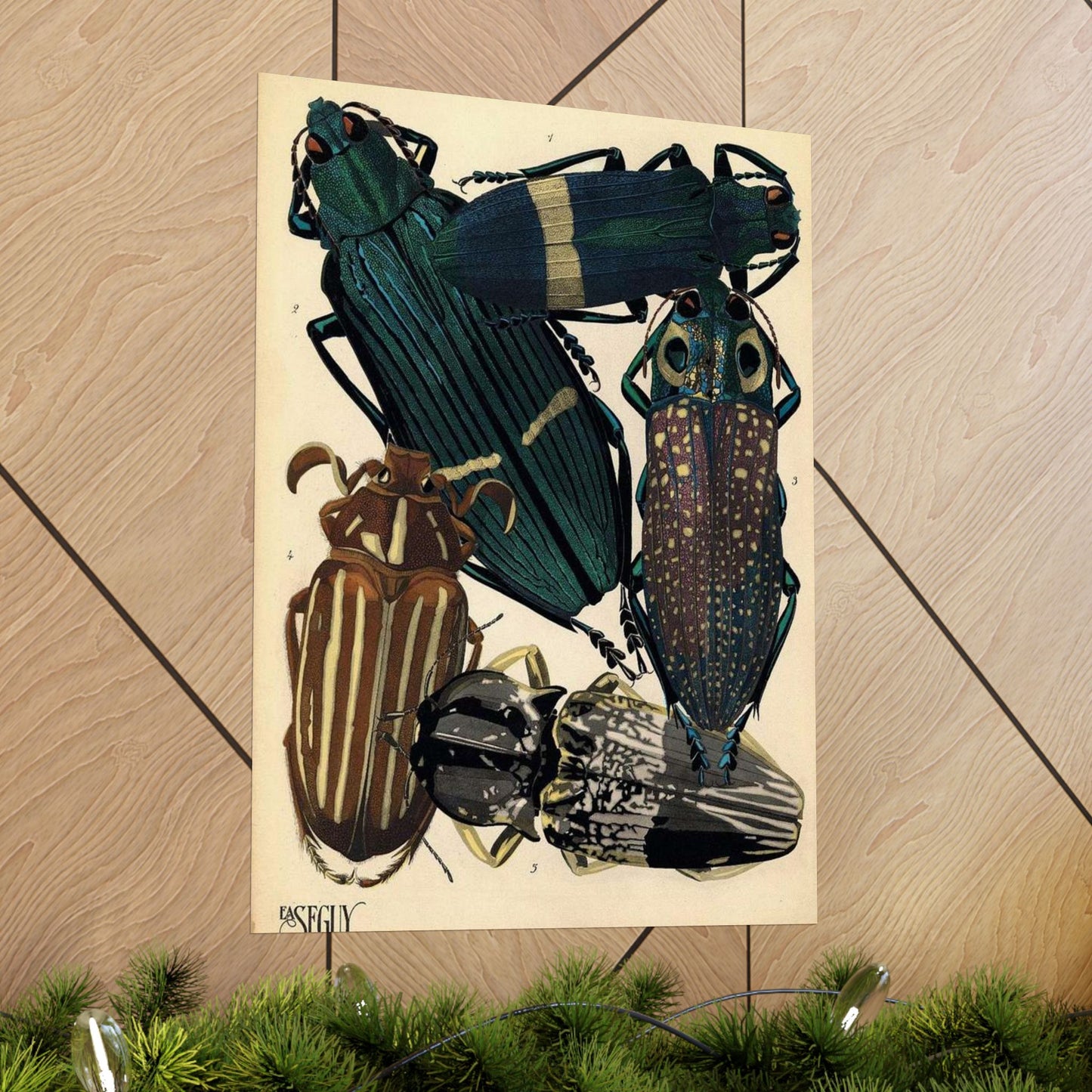 Insectes - EA Séguy - 1929 - page 14 High Quality Matte Wall Art Poster for Home, Office, Classroom