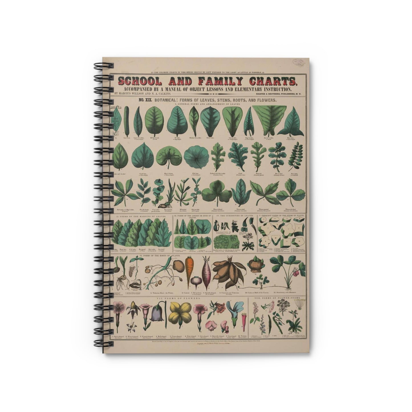 School and family charts, accompanied by a manual of object lessons and elementary instruction, by Marcius Willson and N.A. Calkins. No. XIX. Botanical: forms of leaves, stems, roots, and flowers Spiral Bound Ruled Notebook with Printed Cover