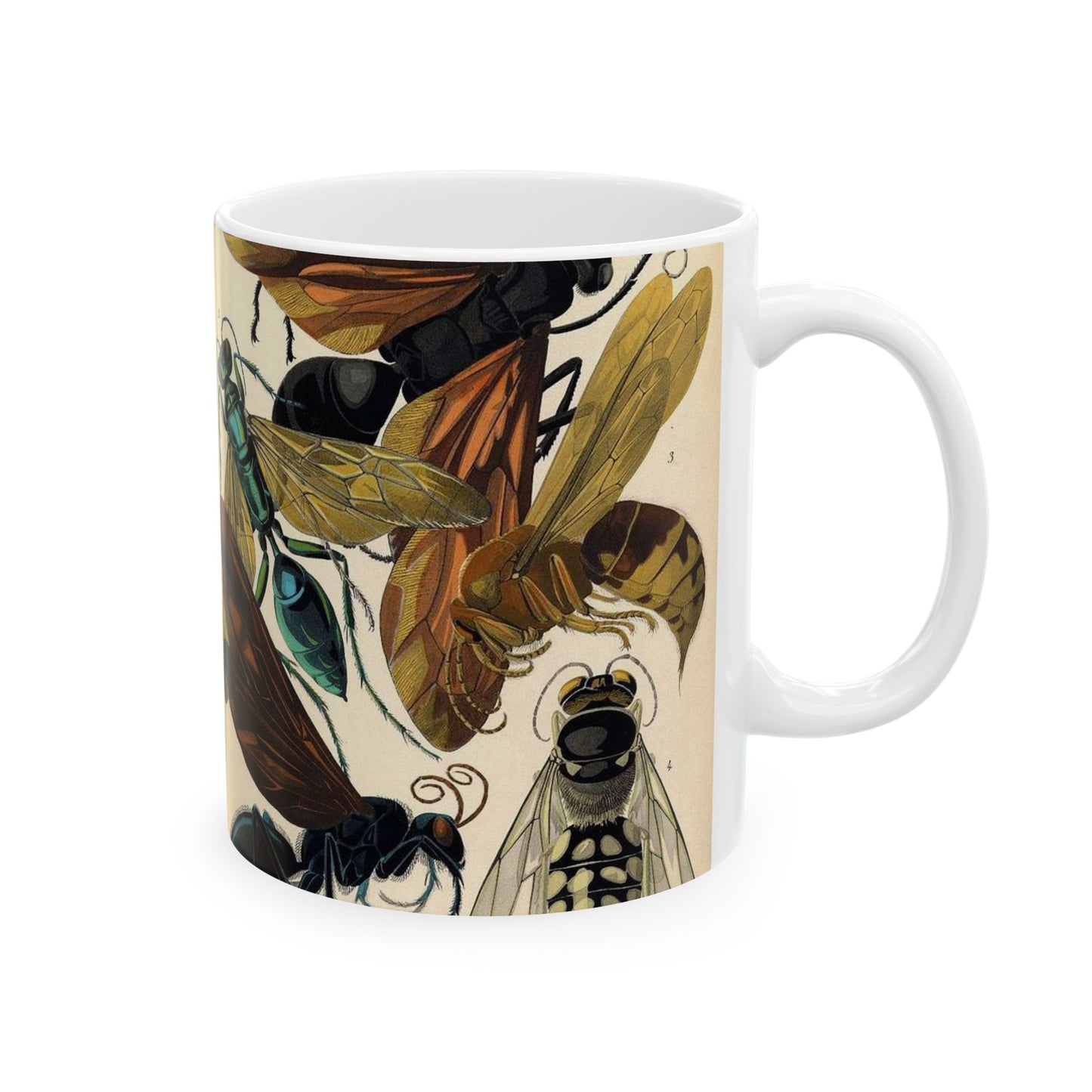 Insectes - EA Séguy - 1929 - page 07 Beautiful Novelty Ceramic Coffee Mug 11oz