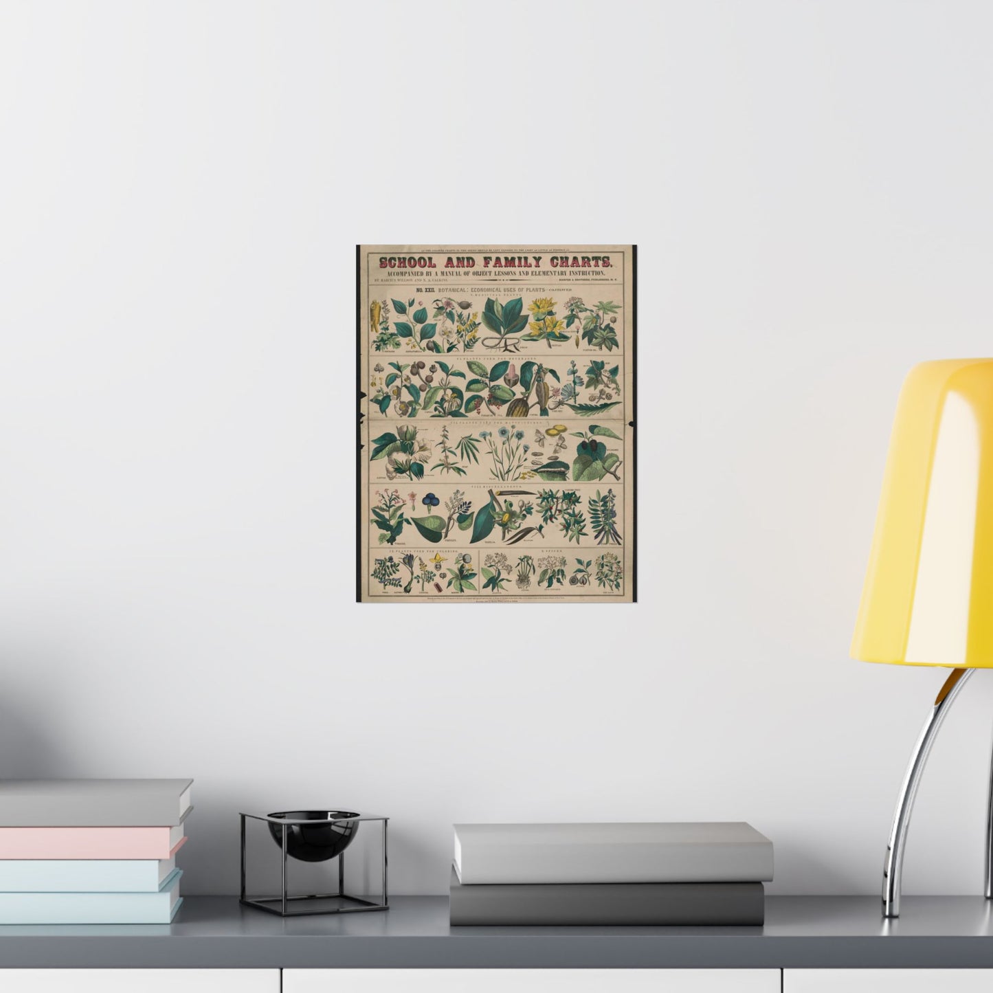 School and family charts, accompanied by a manual of object lessons and elementary instruction, by Marcius Willson and N.A. Calkins. No. XXII. Botanical: economical uses of plants-continued High Quality Matte Wall Art Poster for Home, Office, Classroom