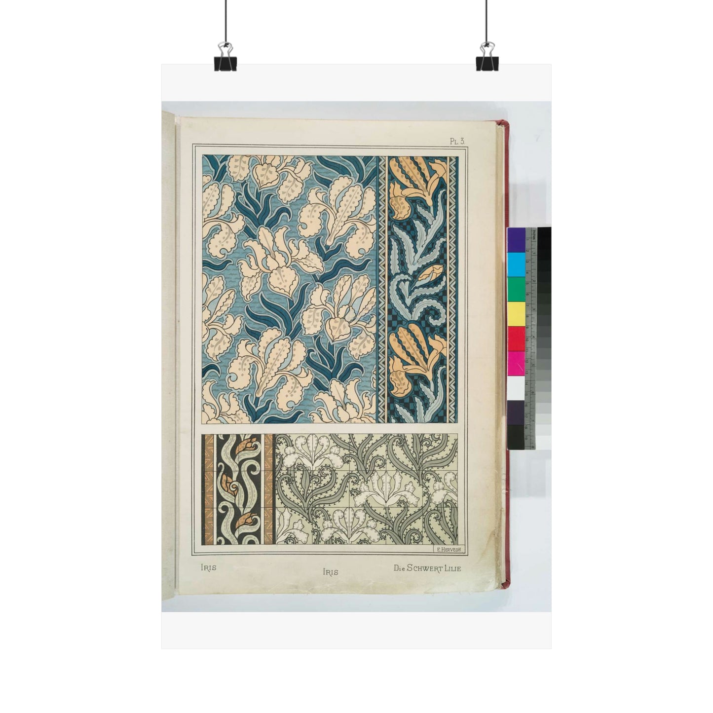 Iris, E. Hervegh. Eugene Grasset, compiler High Quality Matte Wall Art Poster for Home, Office, Classroom