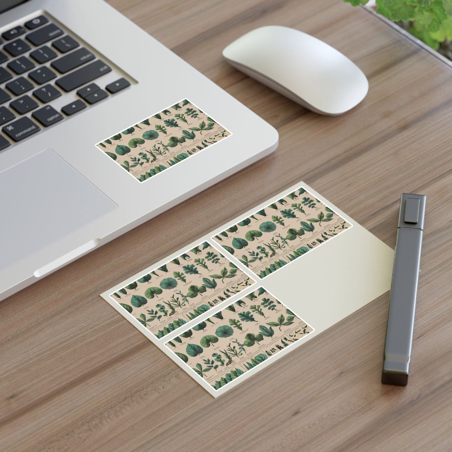School and family charts, accompanied by a manual of object lessons and elementary instruction, by Marcius Willson and N.A. Calkins. No. XIX. Botanical: forms of leaves, stems, roots, and flowers Laminated UV Protective Vinyl Stickers