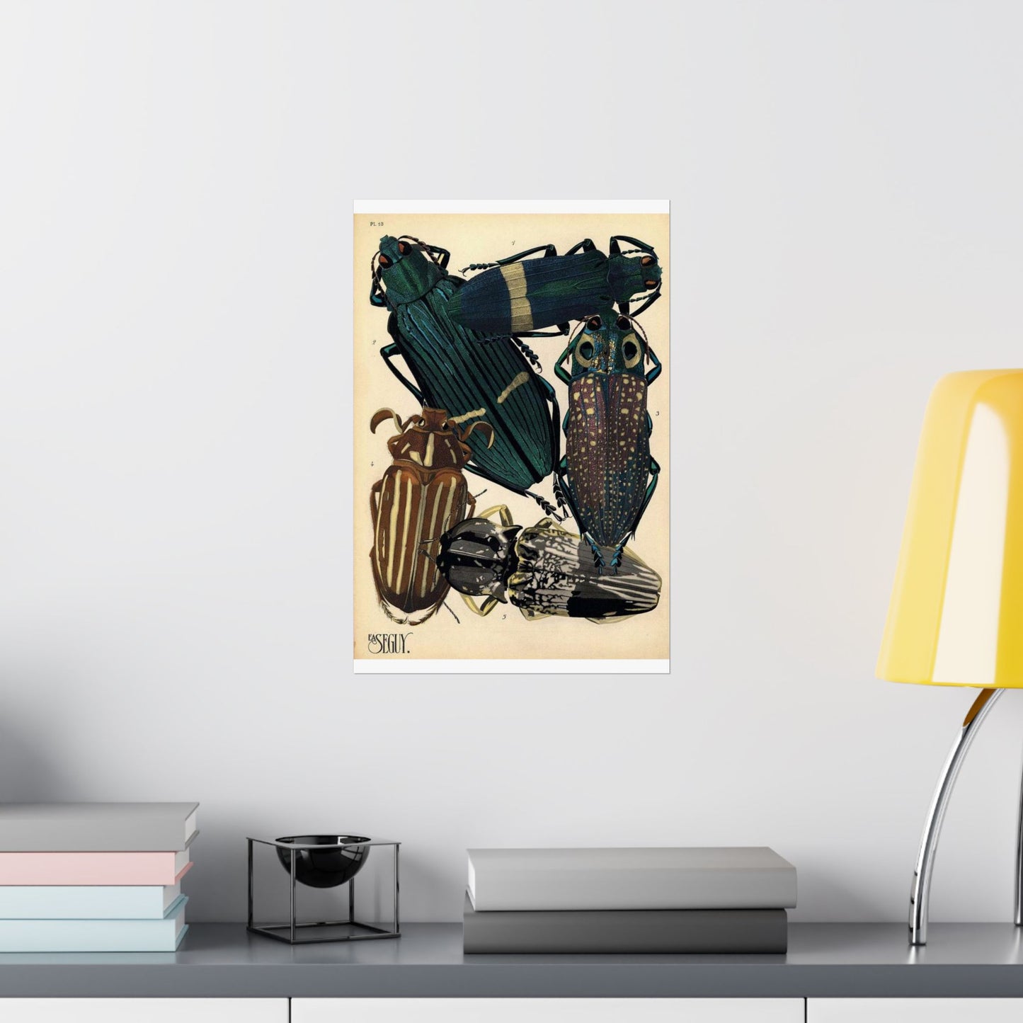 Insectes - EA Séguy - 1929 - page 14 High Quality Matte Wall Art Poster for Home, Office, Classroom