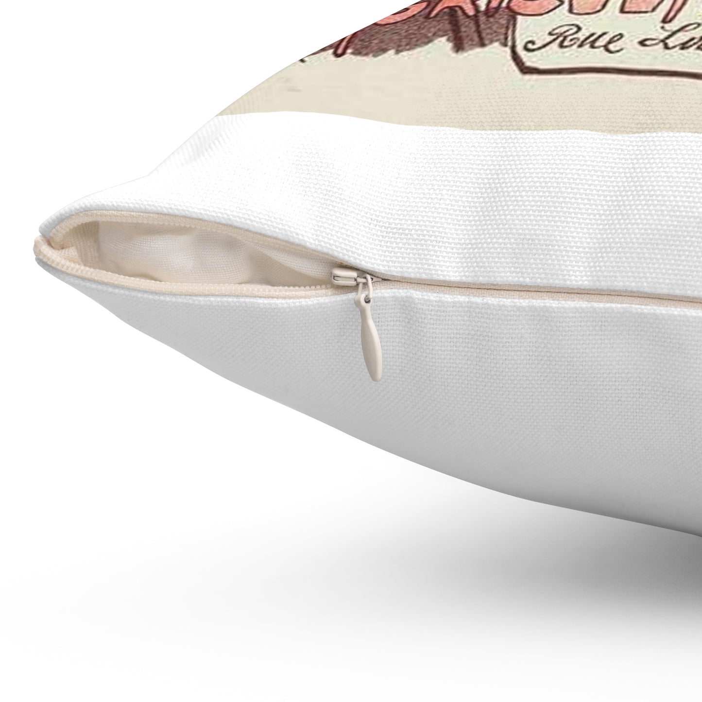 Affiche pour le "Syndicat central des Agriculteurs de France". Decorative Accent Square Pillow