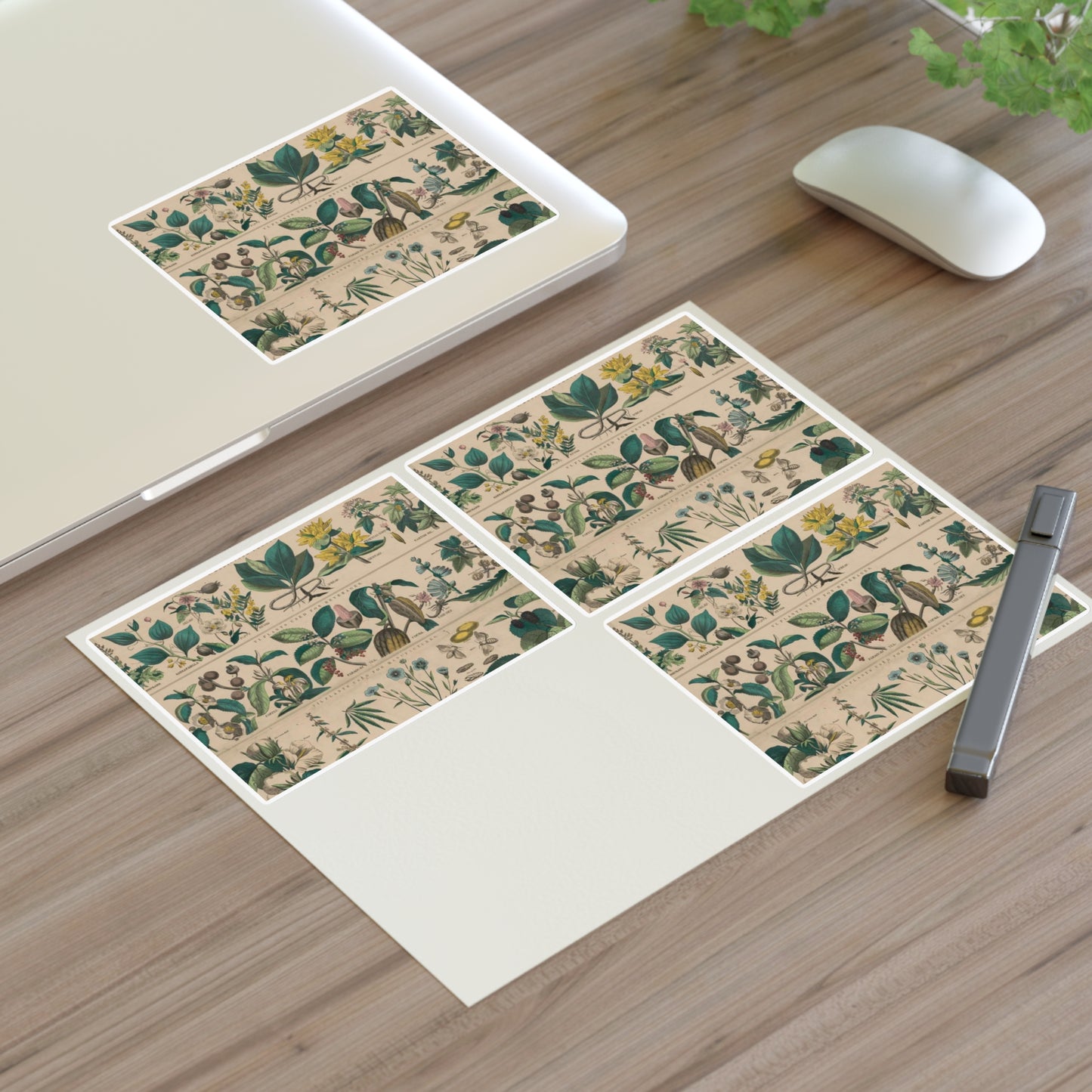 School and family charts, accompanied by a manual of object lessons and elementary instruction, by Marcius Willson and N.A. Calkins. No. XXII. Botanical: economical uses of plants-continued Laminated UV Protective Vinyl Stickers