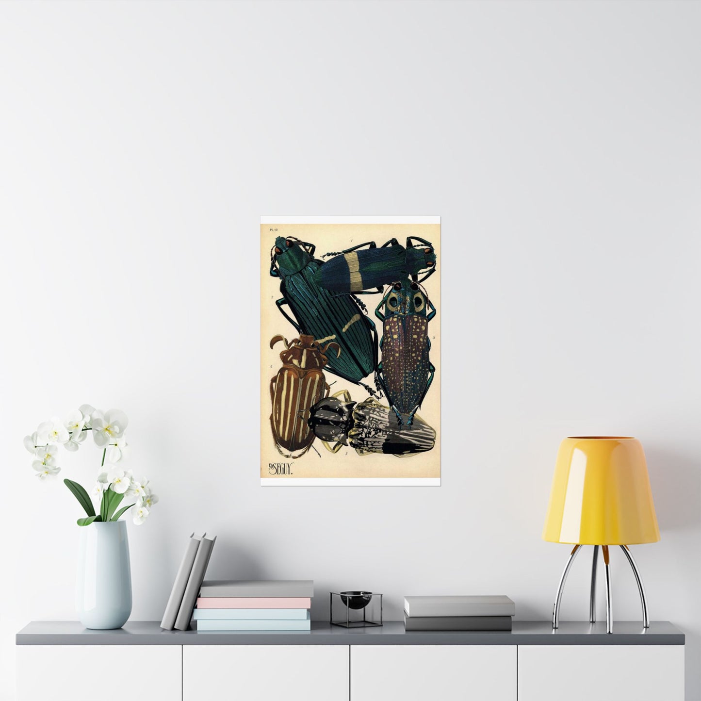 Insectes - EA Séguy - 1929 - page 14 High Quality Matte Wall Art Poster for Home, Office, Classroom