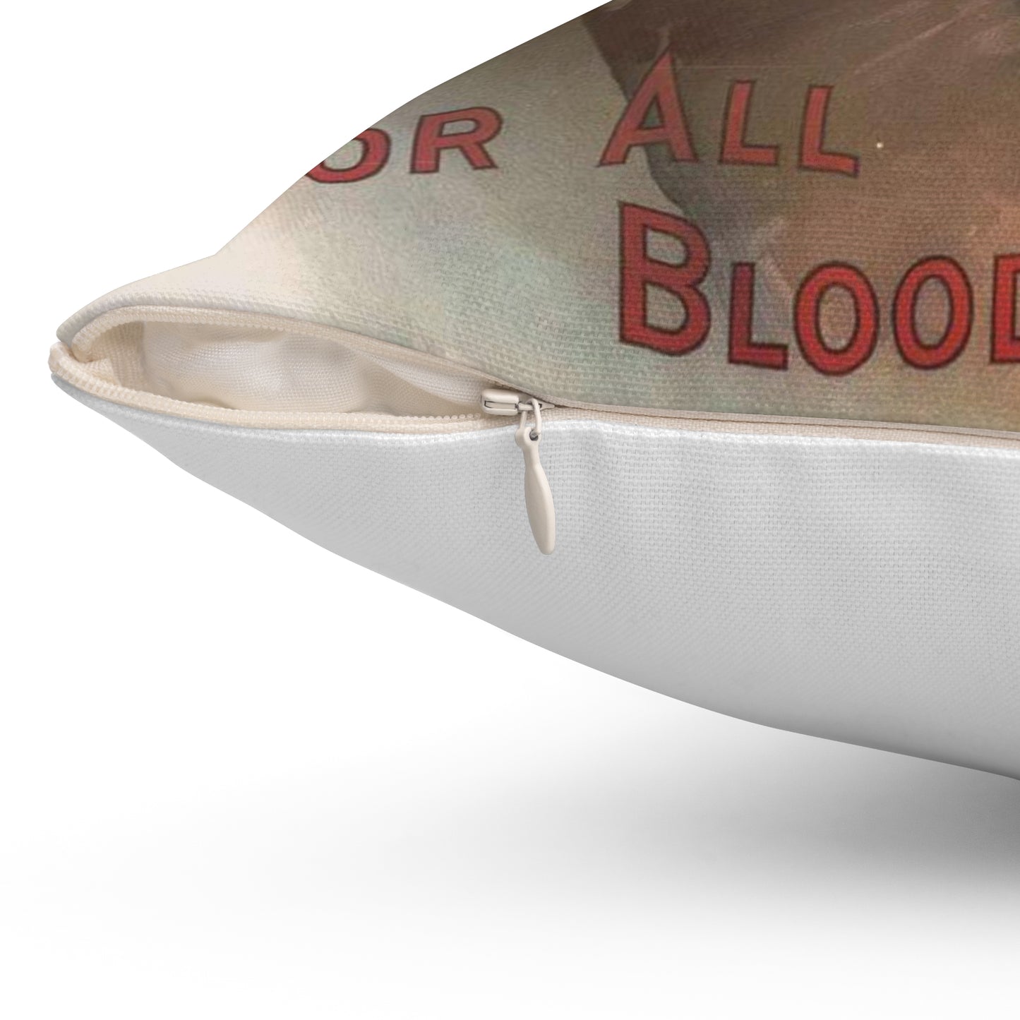 Ayer's sarsaparilla, for all blood diseases, cures others, will cure you Decorative Accent Square Pillow