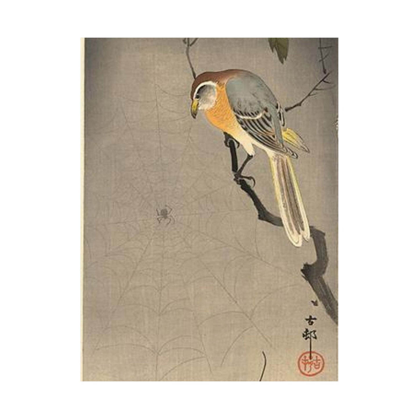 Koson - the-spiderweb, Ohara Koson High Quality Matte Wall Art Poster for Home, Office, Classroom