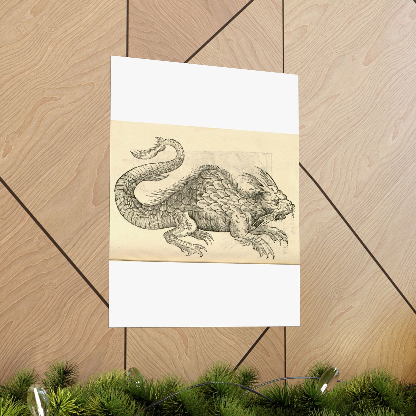 Orobonis Piscis effigies - Public domain portrait drawing High Quality Matte Wall Art Poster for Home, Office, Classroom