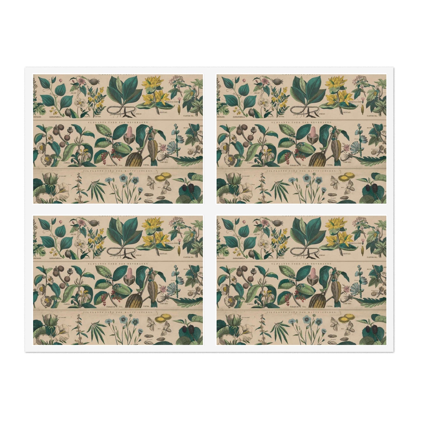 School and family charts, accompanied by a manual of object lessons and elementary instruction, by Marcius Willson and N.A. Calkins. No. XXII. Botanical: economical uses of plants-continued Laminated UV Protective Vinyl Stickers
