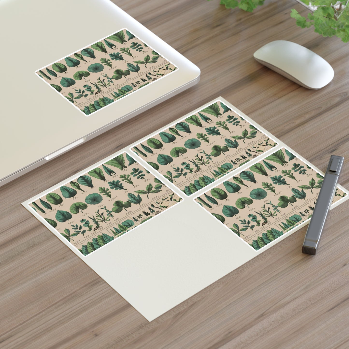 School and family charts, accompanied by a manual of object lessons and elementary instruction, by Marcius Willson and N.A. Calkins. No. XIX. Botanical: forms of leaves, stems, roots, and flowers Laminated UV Protective Vinyl Stickers