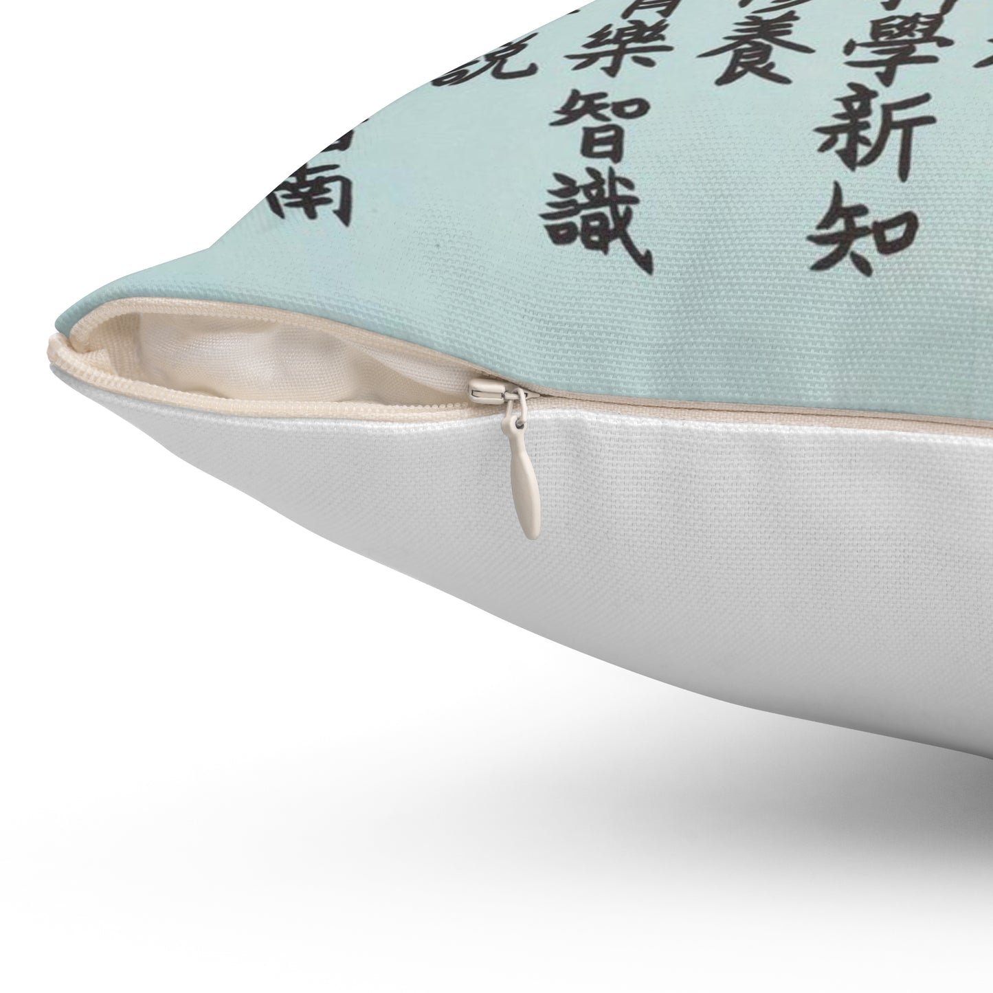 Promotion Poster "High School Student" Decorative Accent Square Pillow