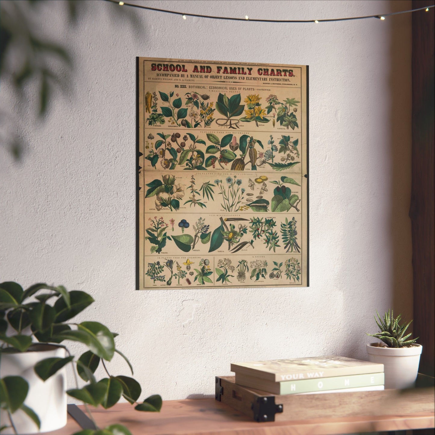 School and family charts, accompanied by a manual of object lessons and elementary instruction, by Marcius Willson and N.A. Calkins. No. XXII. Botanical: economical uses of plants-continued High Quality Matte Wall Art Poster for Home, Office, Classroom