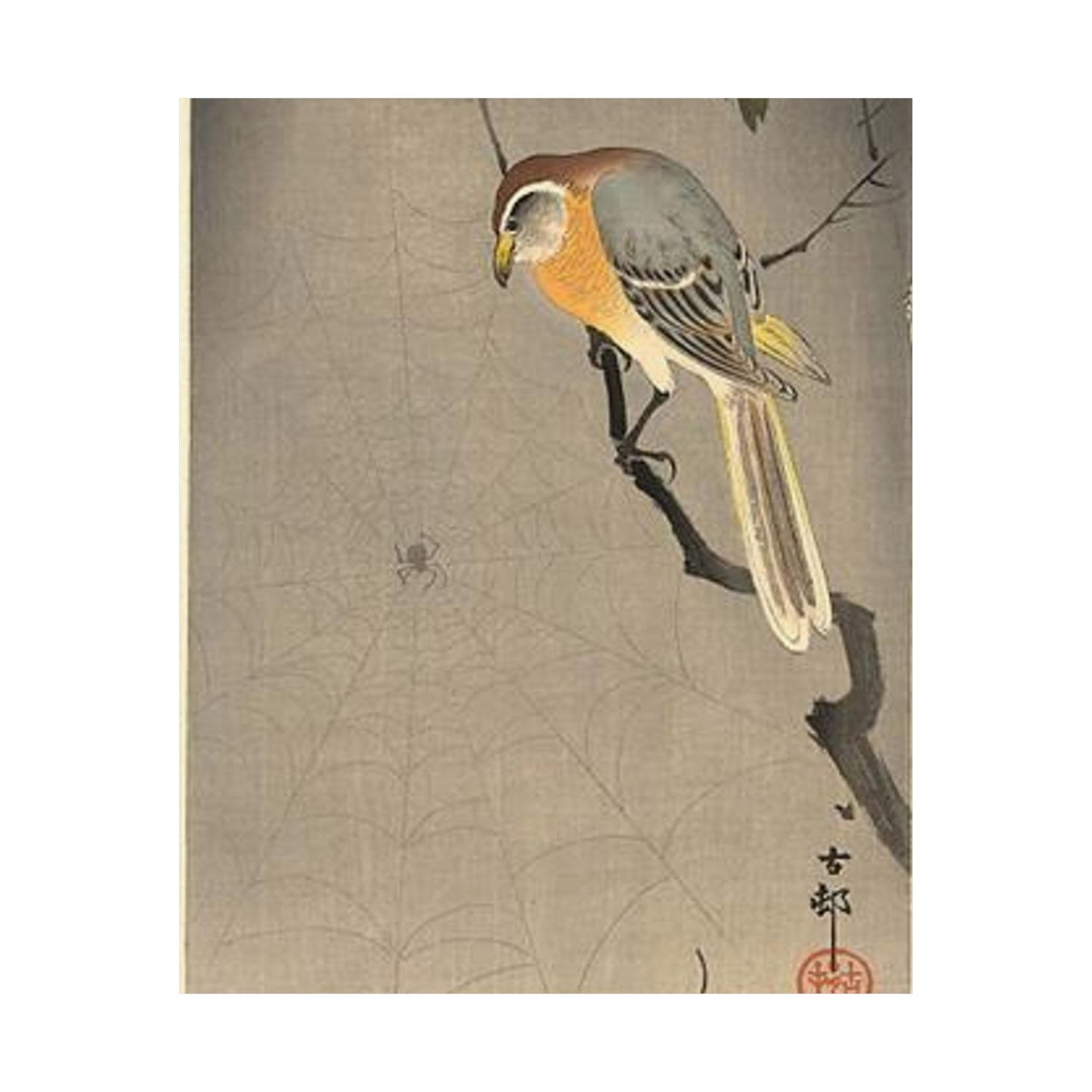 Koson - the-spiderweb, Ohara Koson High Quality Matte Wall Art Poster for Home, Office, Classroom
