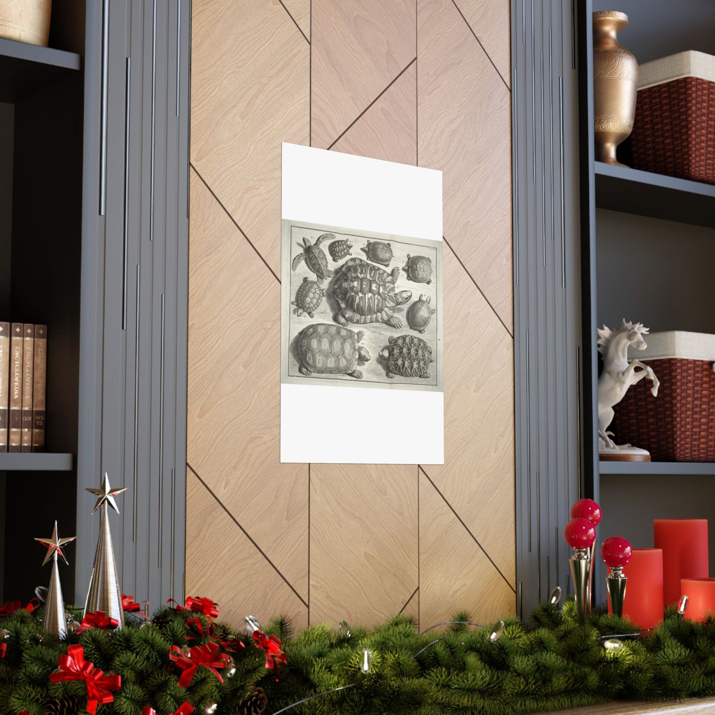 Albertus Seba t - Public domain portrait drawing High Quality Matte Wall Art Poster for Home, Office, Classroom