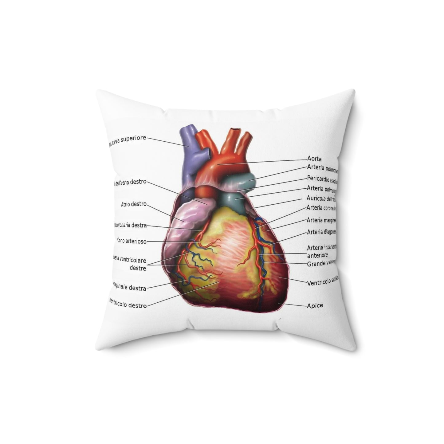 Anatomia del cuore Decorative Accent Square Pillow