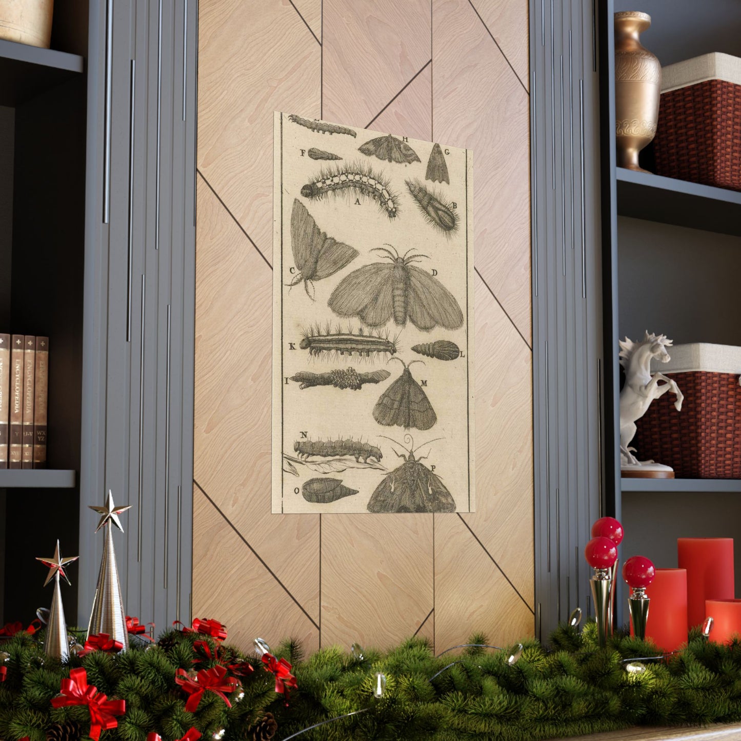 Jan Luyken - Rupsen, poppen en vlinders VIII High Quality Matte Wall Art Poster for Home, Office, Classroom