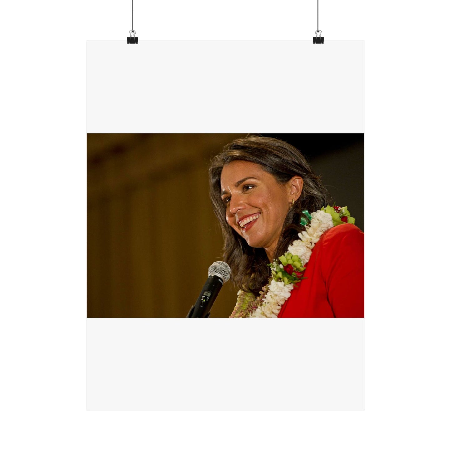 United States Representative for Hawaii's second High Quality Matte Wall Art Poster for Home, Office, Classroom