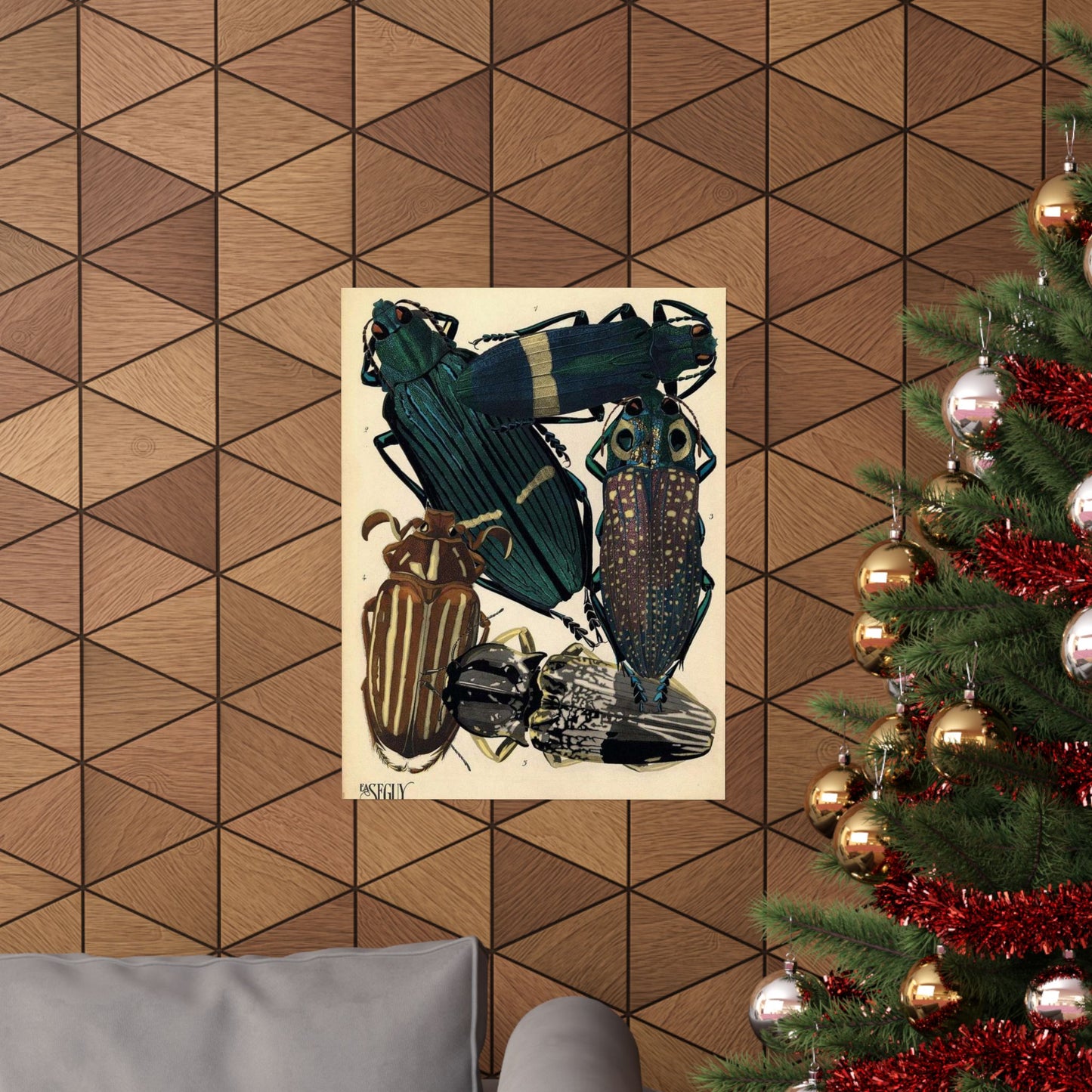 Insectes - EA Séguy - 1929 - page 14 High Quality Matte Wall Art Poster for Home, Office, Classroom