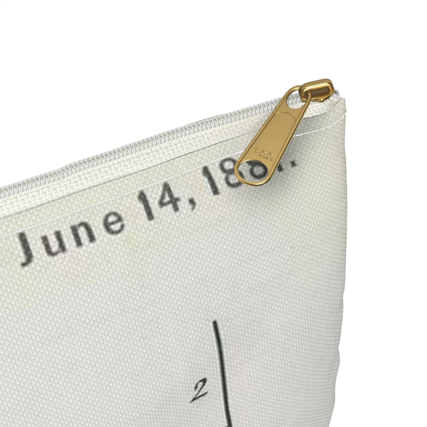 Patent drawing - for T. A. Edison's Electric Lighting Public domain image Large Organizer Pouch with Black Zipper