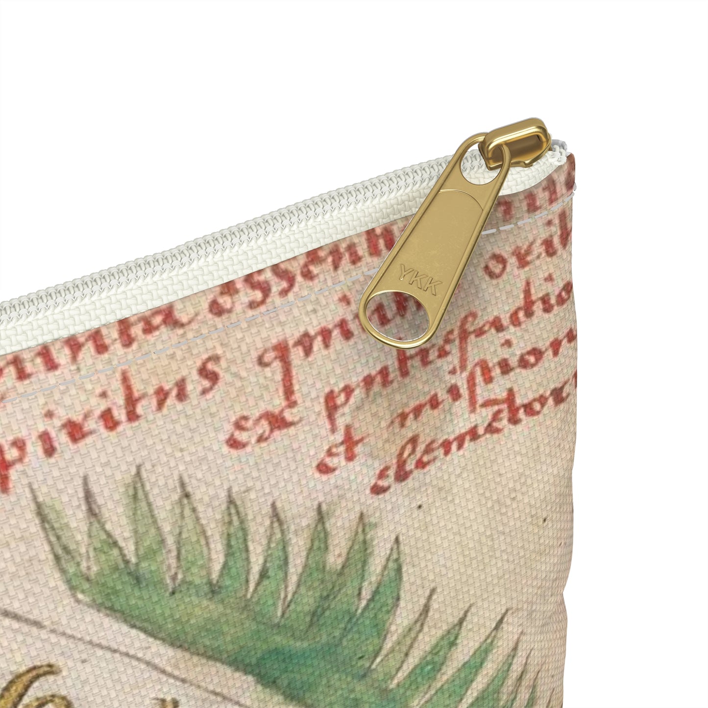 Bird from BL Sloane 1171, f. 19v Large Organizer Pouch with Black Zipper