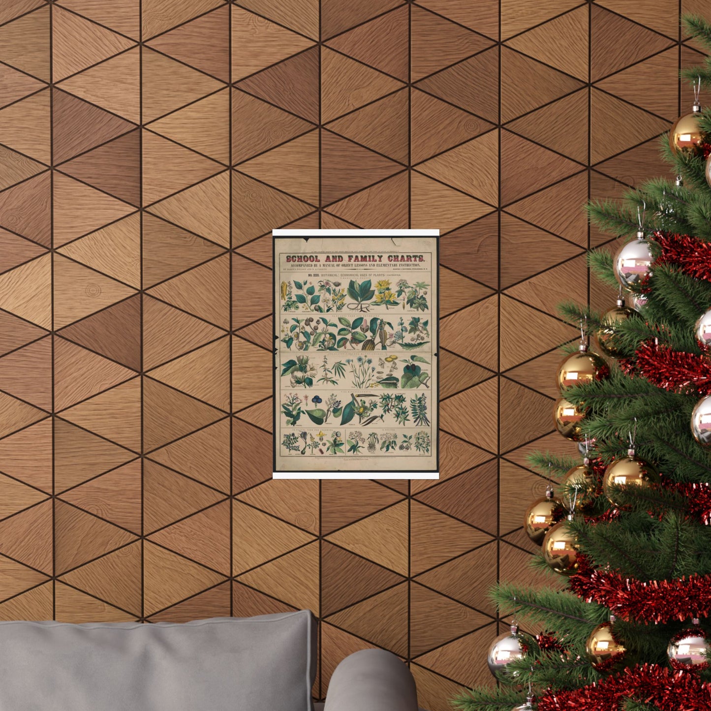 School and family charts, accompanied by a manual of object lessons and elementary instruction, by Marcius Willson and N.A. Calkins. No. XXII. Botanical: economical uses of plants-continued High Quality Matte Wall Art Poster for Home, Office, Classroom