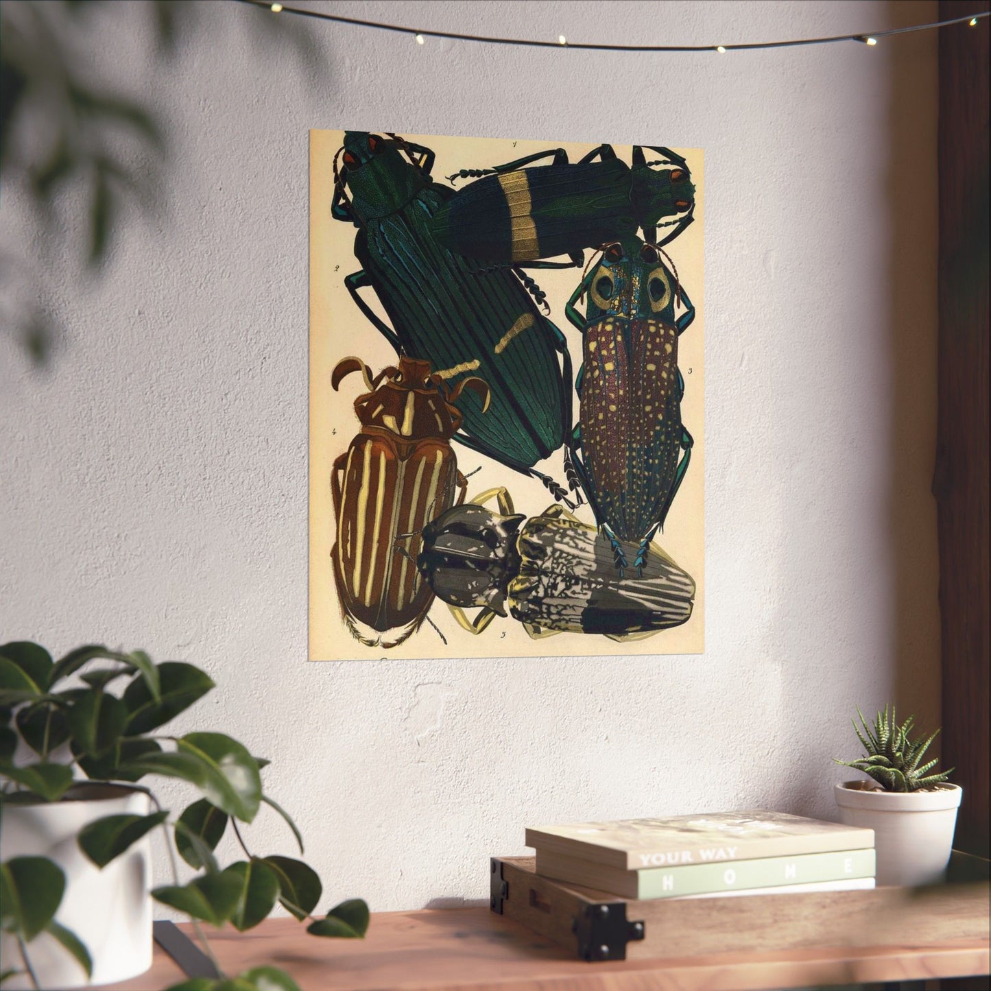 Insectes - EA Séguy - 1929 - page 14 High Quality Matte Wall Art Poster for Home, Office, Classroom