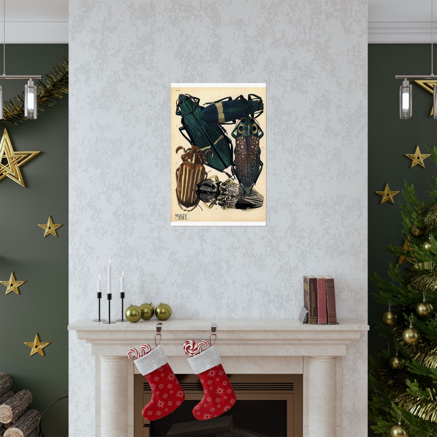Insectes - EA Séguy - 1929 - page 14 High Quality Matte Wall Art Poster for Home, Office, Classroom