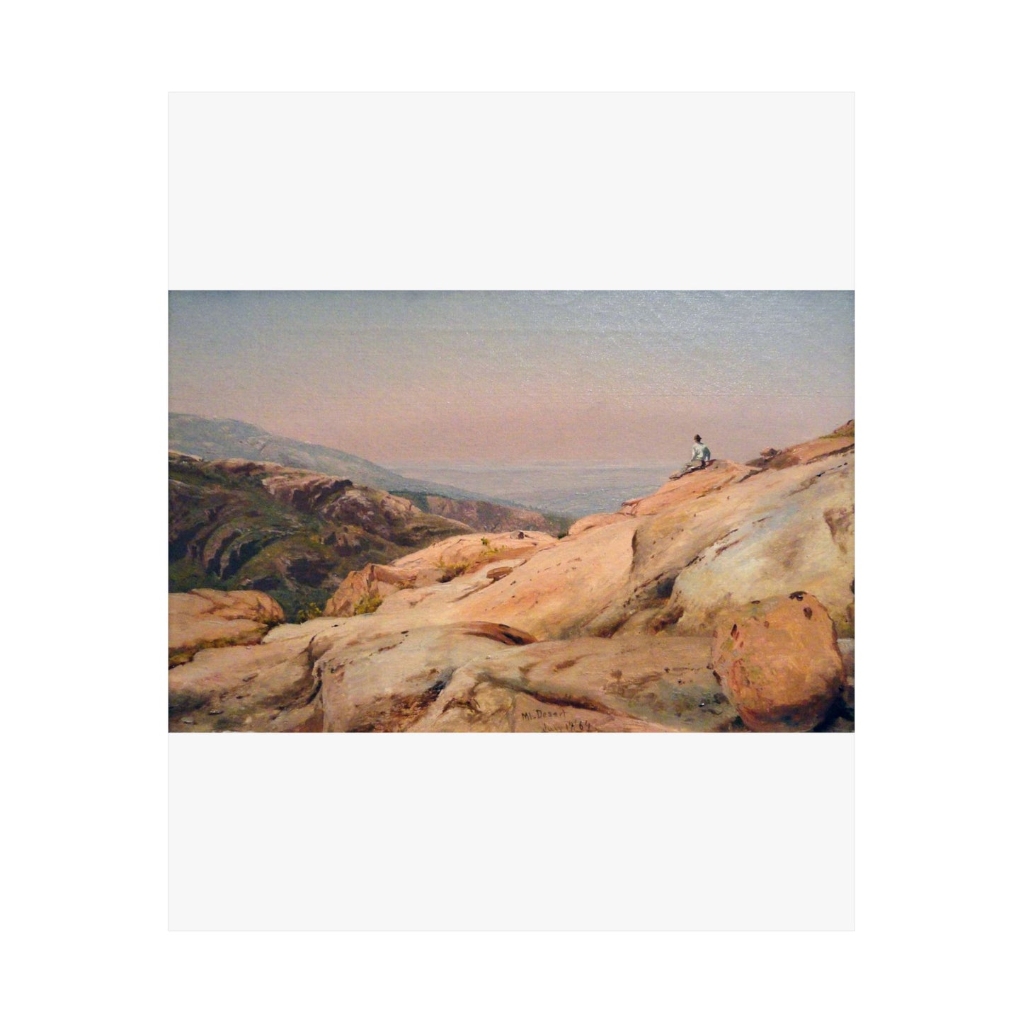 Mount Desert Island, Maine, by Jervis McEntee, 1864, oil on canvas - National Gallery of Art, Washington - DSC00124 High Quality Matte Wall Art Poster for Home, Office, Classroom