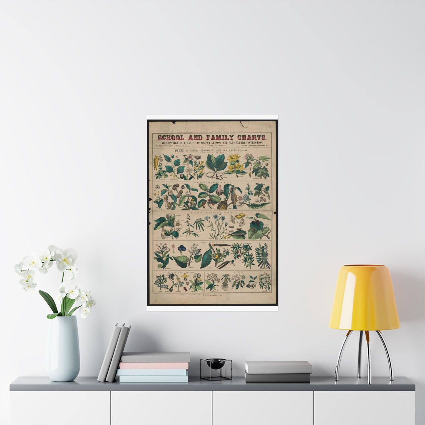 School and family charts, accompanied by a manual of object lessons and elementary instruction, by Marcius Willson and N.A. Calkins. No. XXII. Botanical: economical uses of plants-continued High Quality Matte Wall Art Poster for Home, Office, Classroom