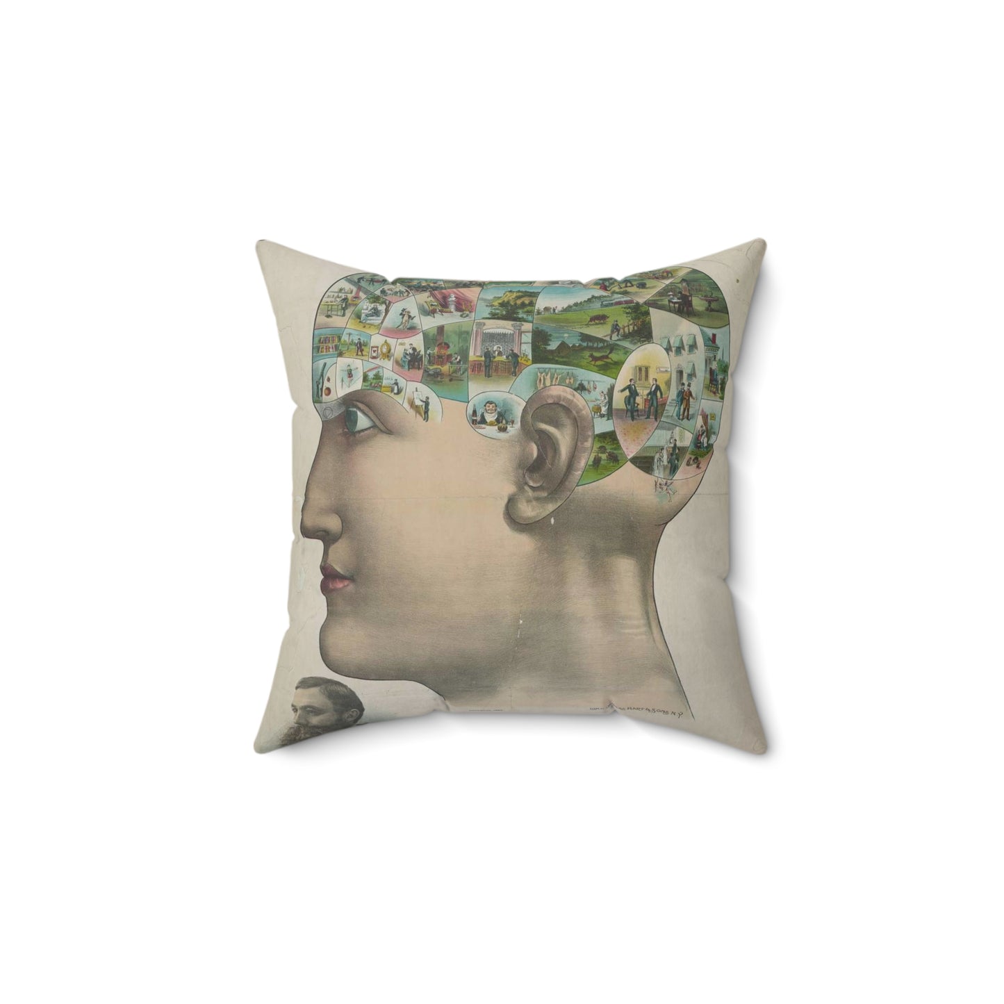 Popular lectures on human nature Decorative Accent Square Pillow