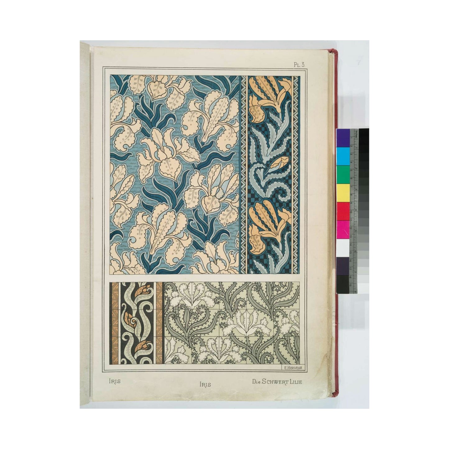 Iris, E. Hervegh. Eugene Grasset, compiler High Quality Matte Wall Art Poster for Home, Office, Classroom