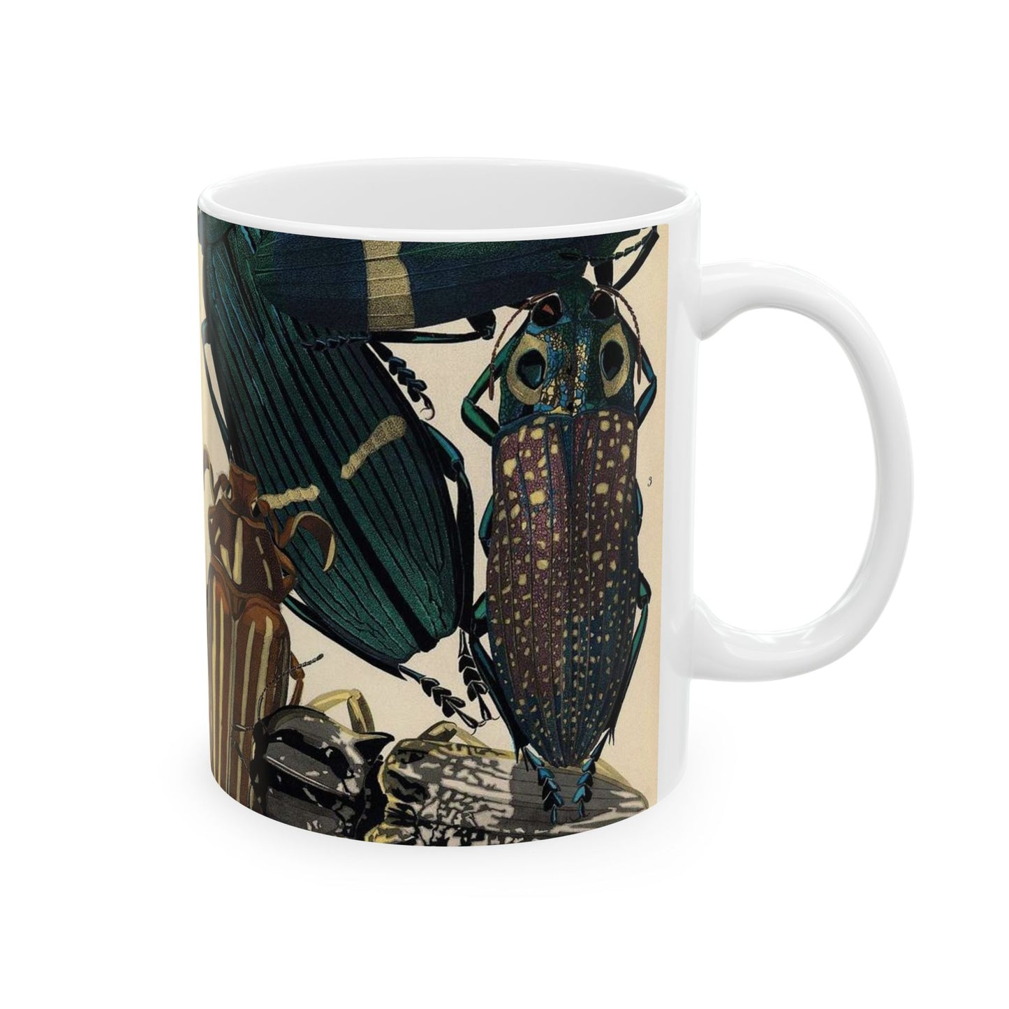 Insectes - EA Séguy - 1929 - page 14 Beautiful Novelty Ceramic Coffee Mug 11oz